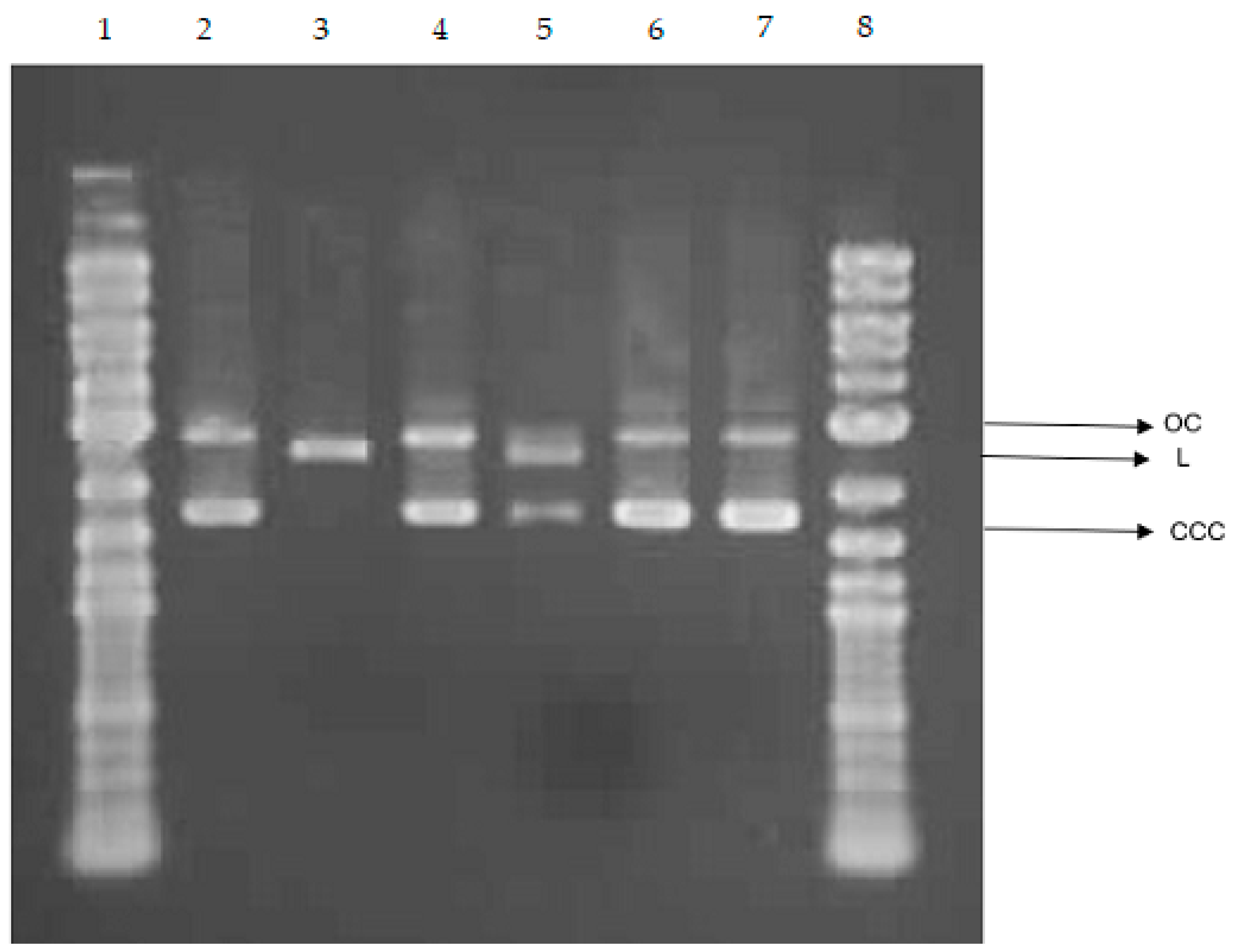 Marinedrugs 22 00436 g011