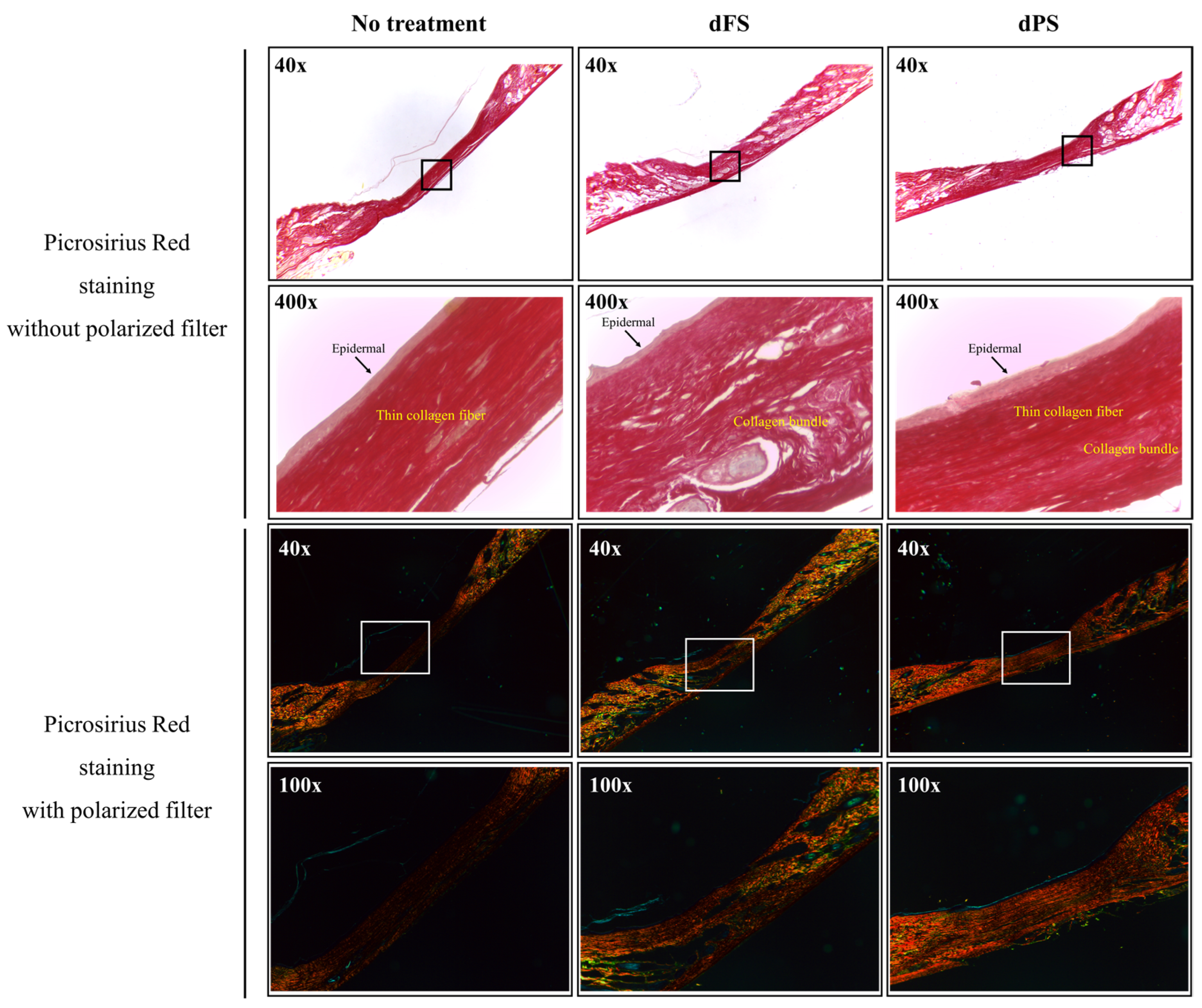 Marinedrugs 22 00437 g005