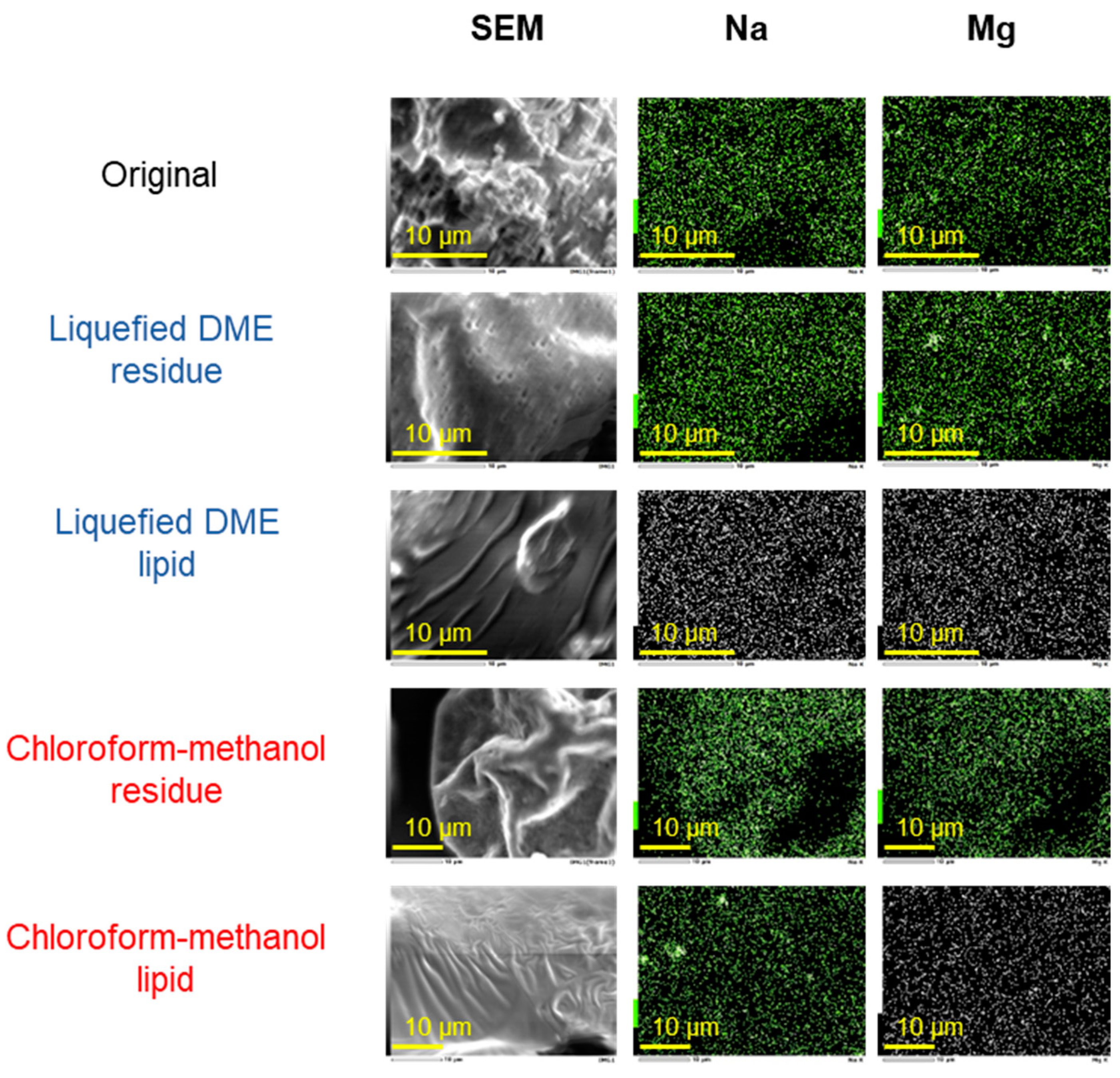 Marinedrugs 22 00438 g007