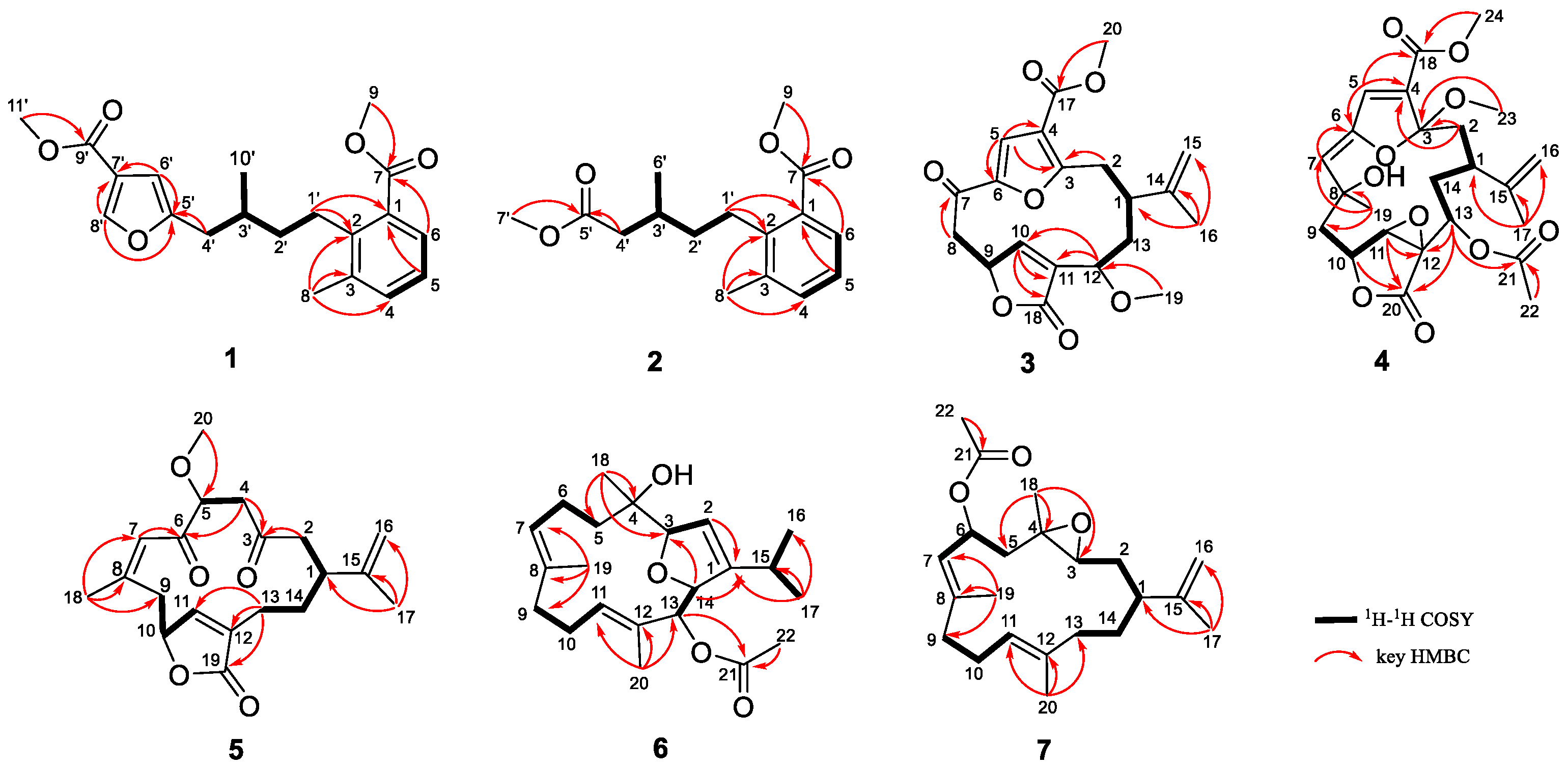 Marinedrugs 22 00442 g002