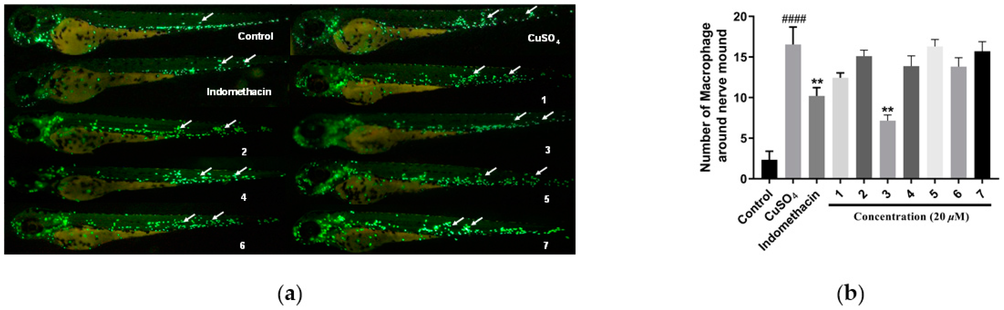 Marinedrugs 22 00442 g006