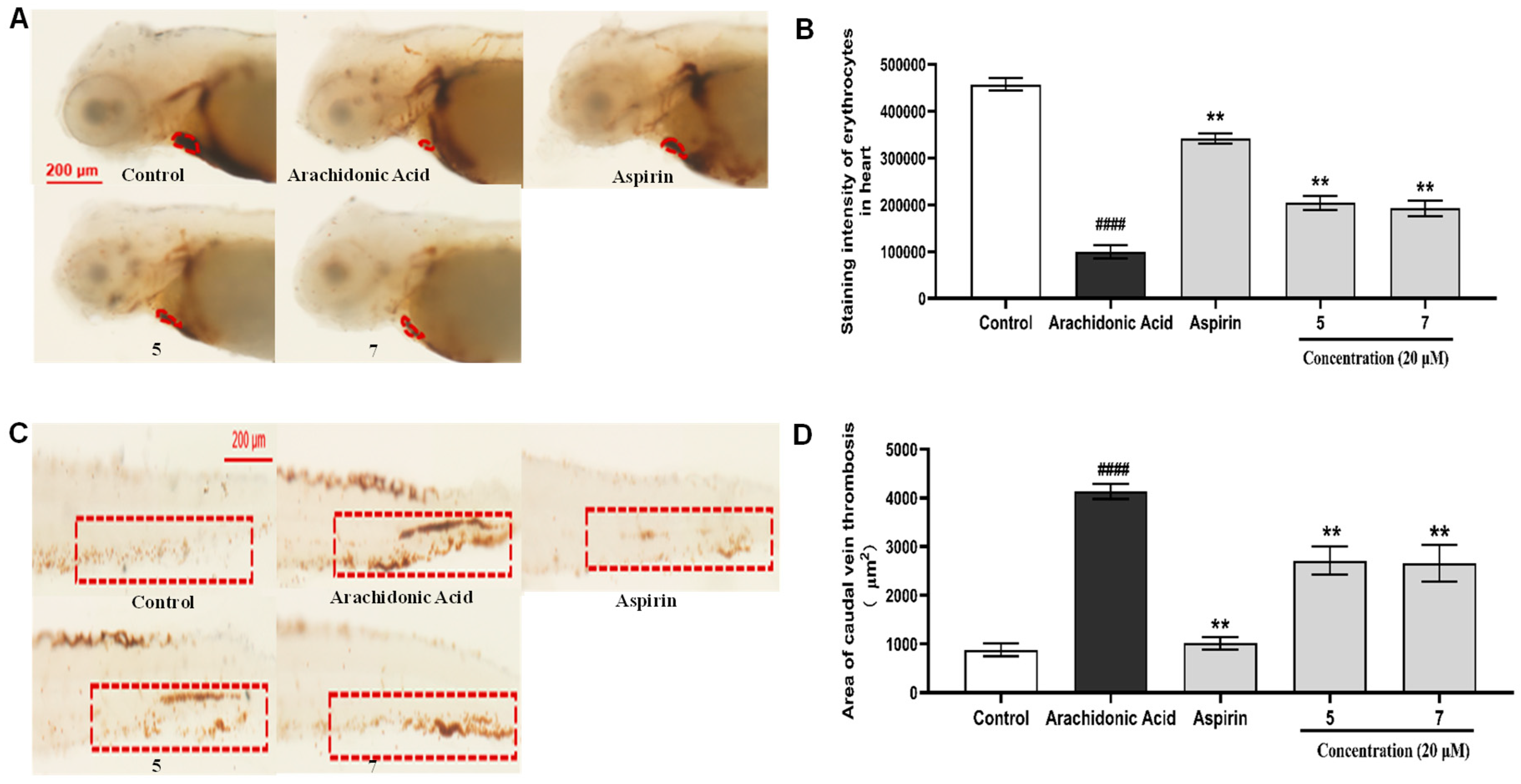 Marinedrugs 22 00442 g007