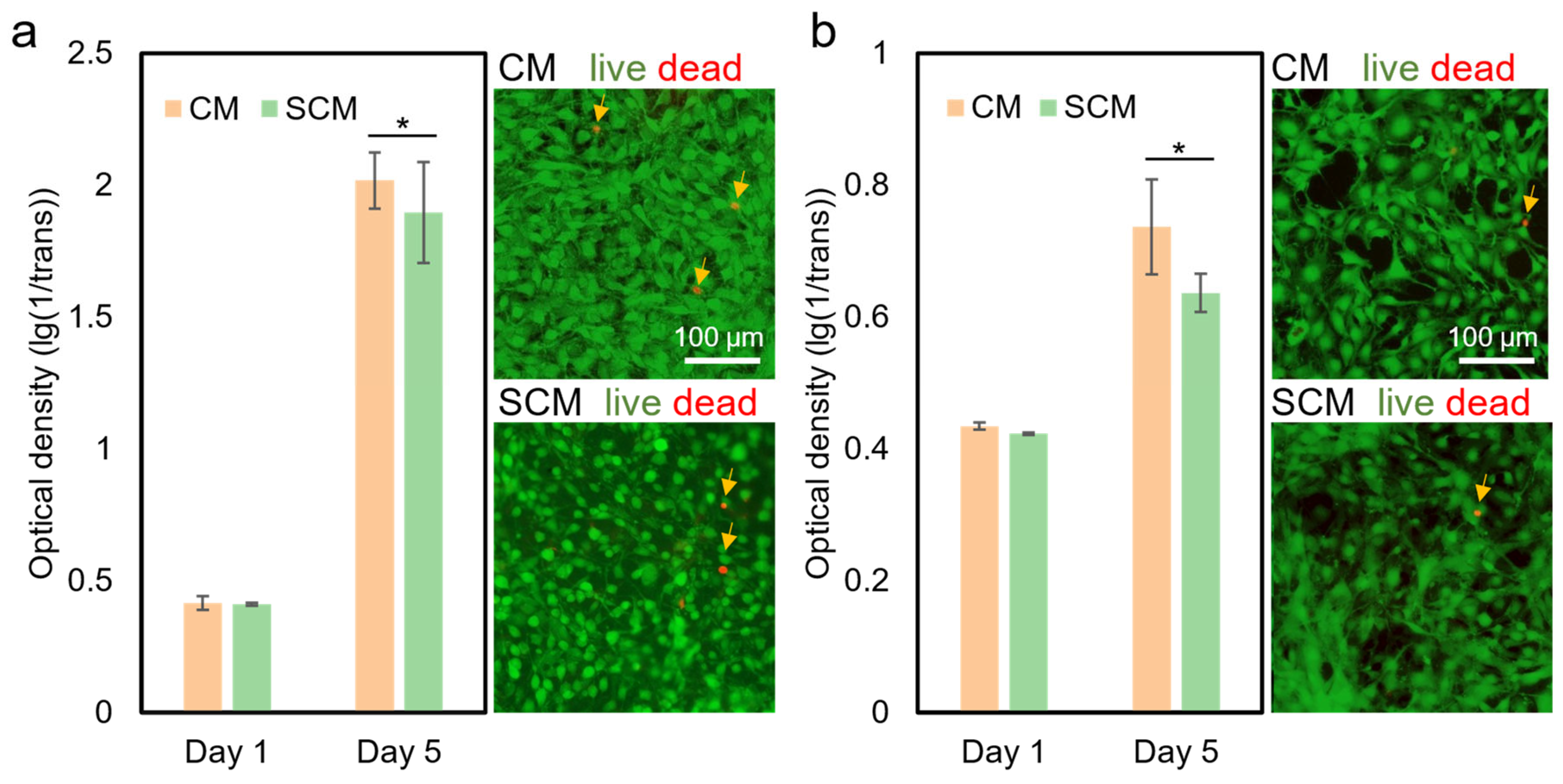 Marinedrugs 22 00443 g004