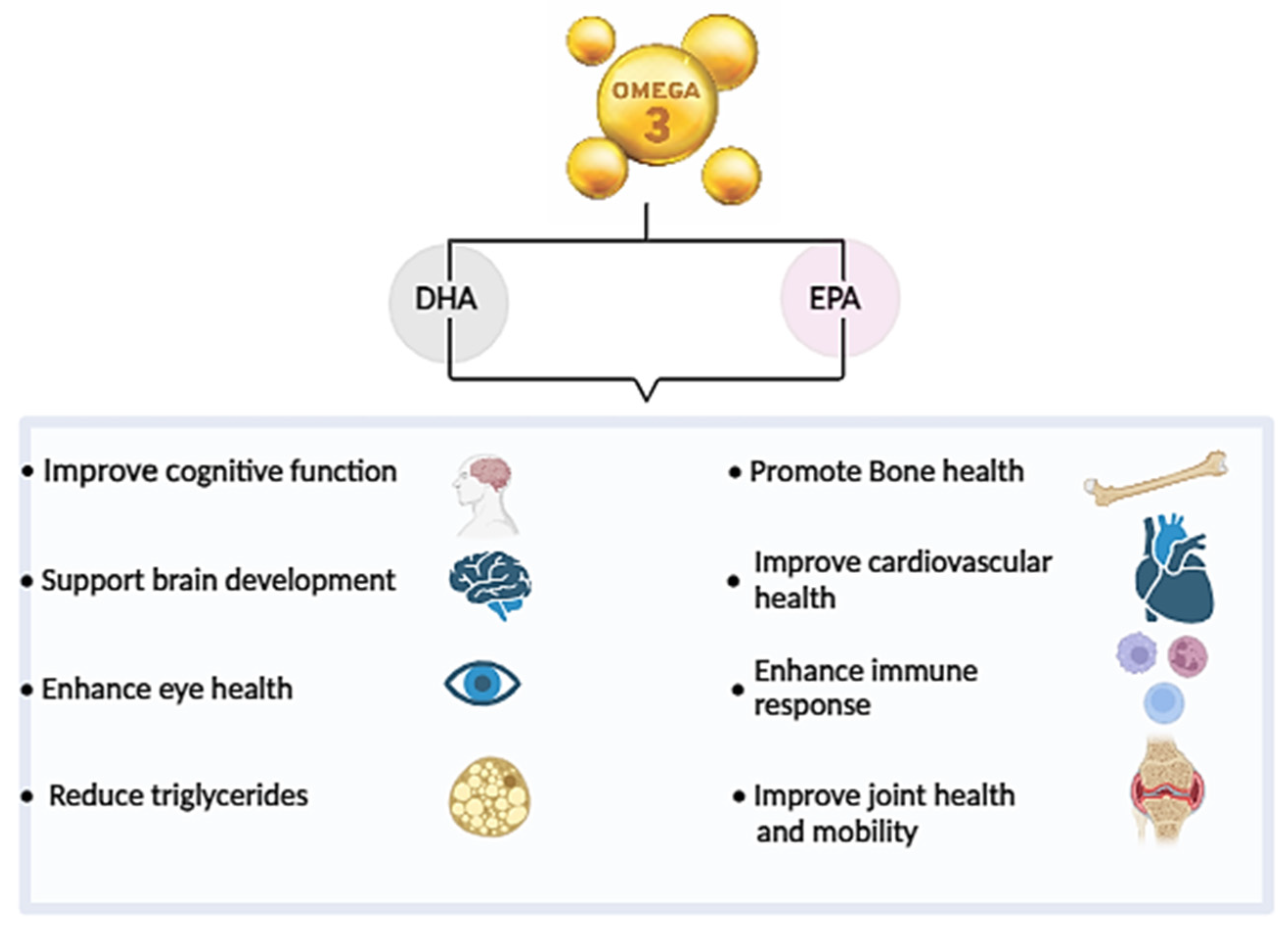 Marinedrugs 22 00446 g001
