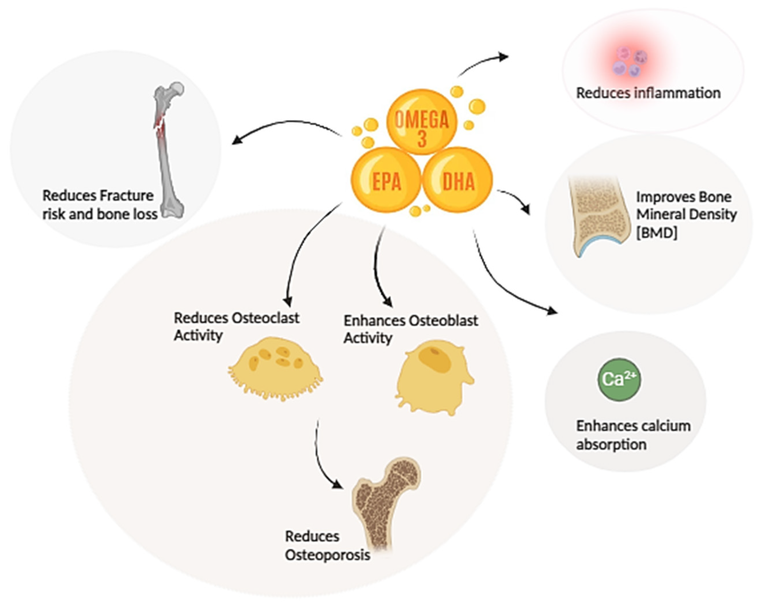 Marinedrugs 22 00446 g002