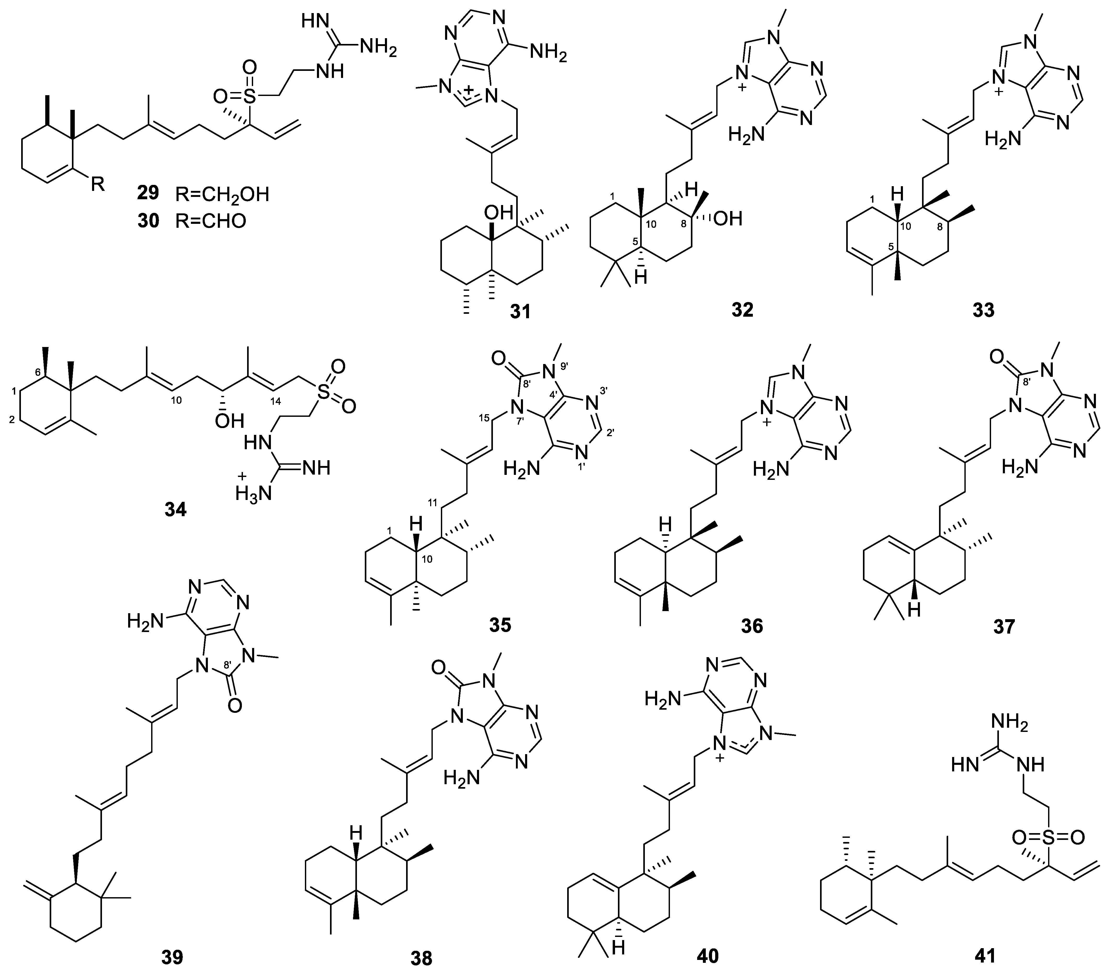 Marinedrugs 22 00447 g005 Marinedrugs 22 00447 g005