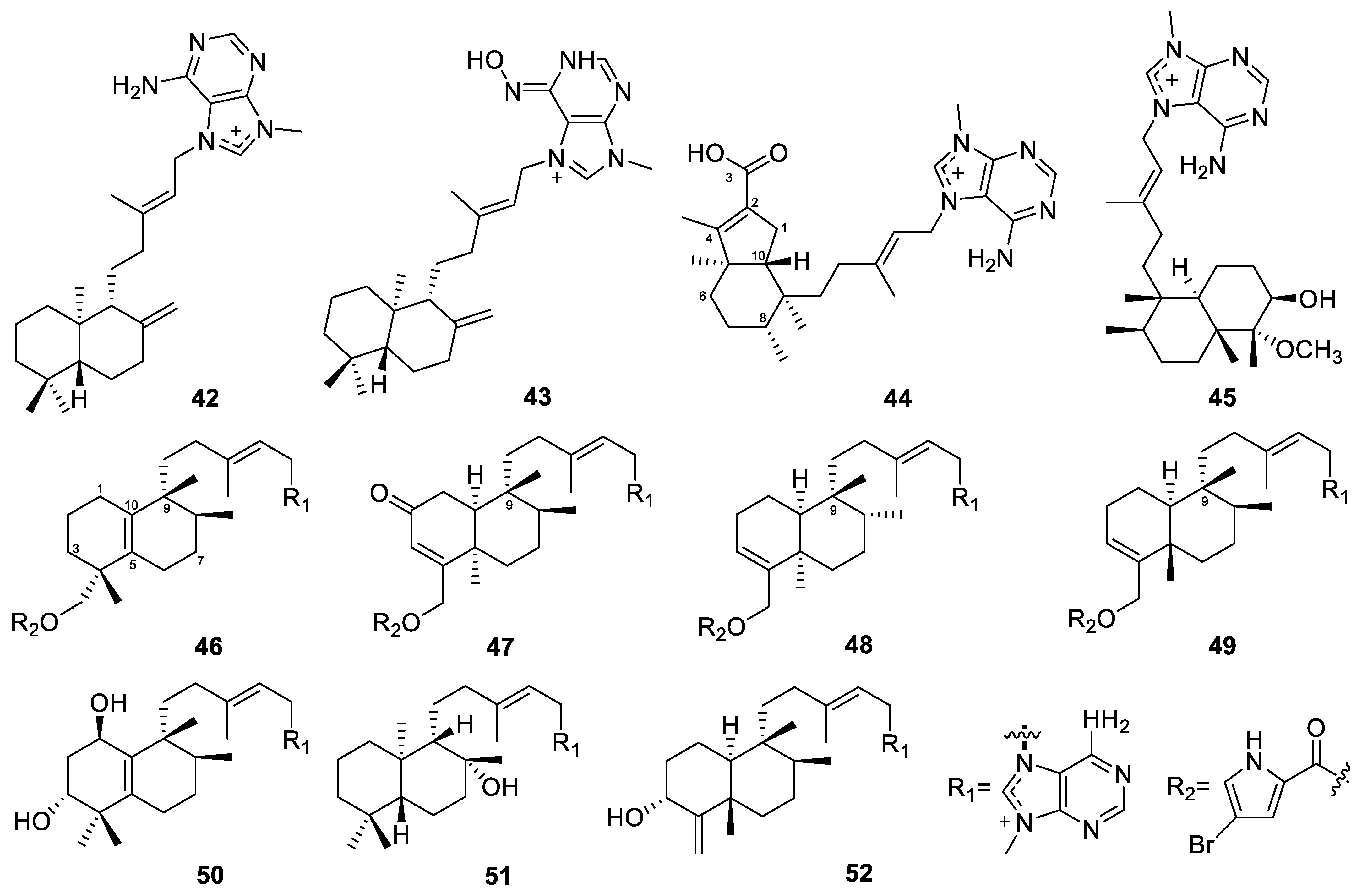 Marinedrugs 22 00447 g006 Marinedrugs 22 00447 g006