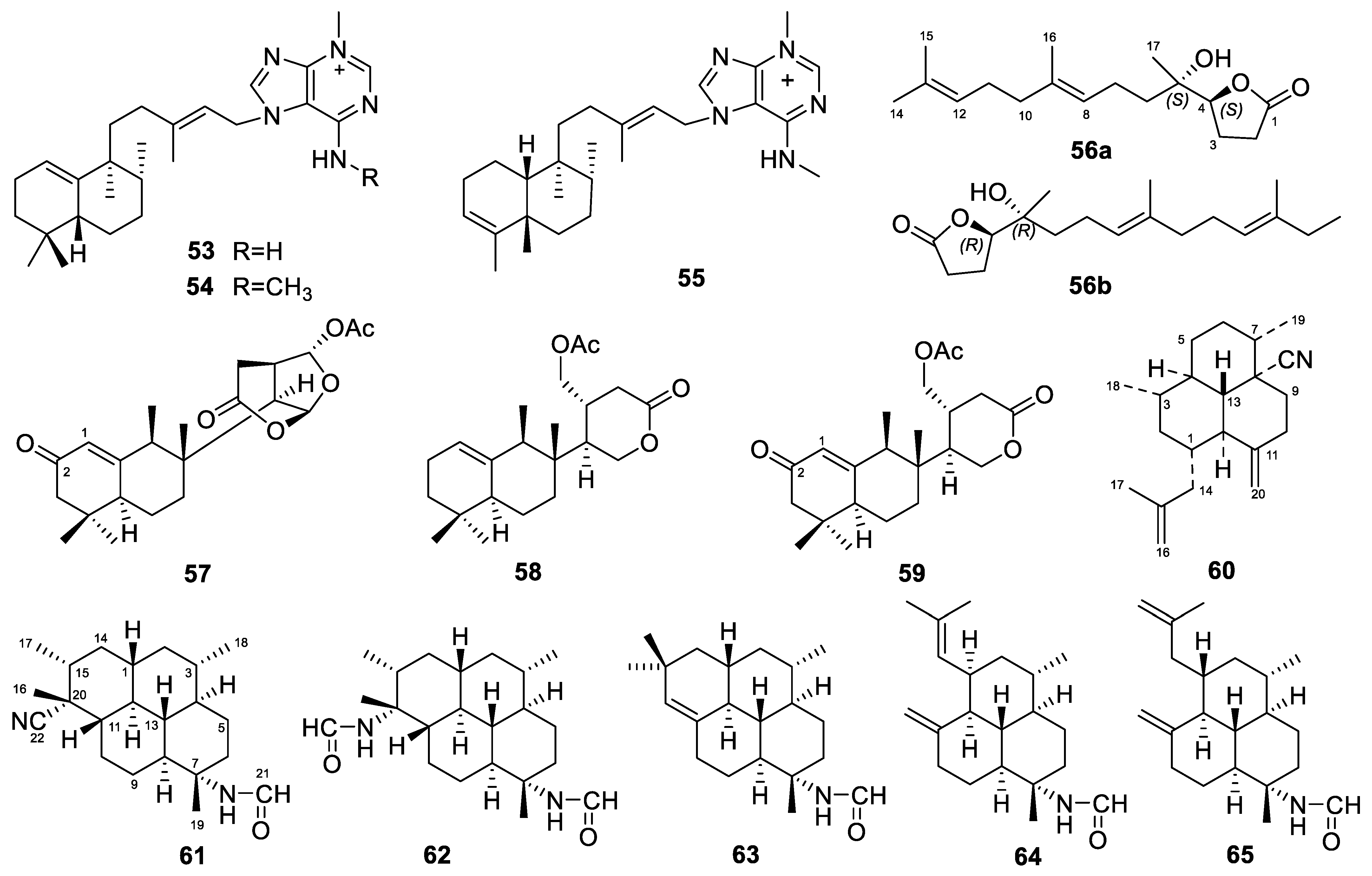 Marinedrugs 22 00447 g007 Marinedrugs 22 00447 g007