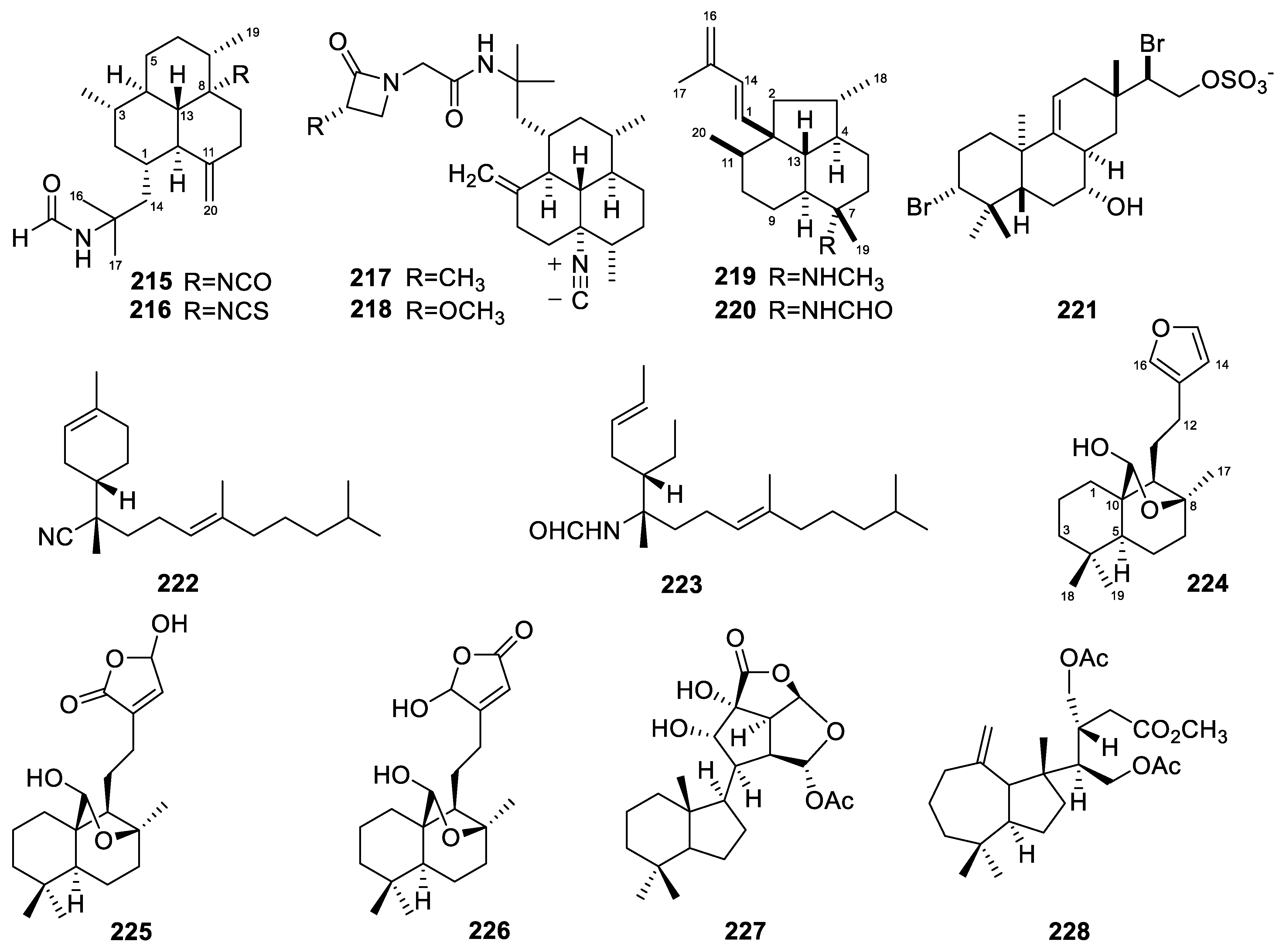 Marinedrugs 22 00447 g017 Marinedrugs 22 00447 g017