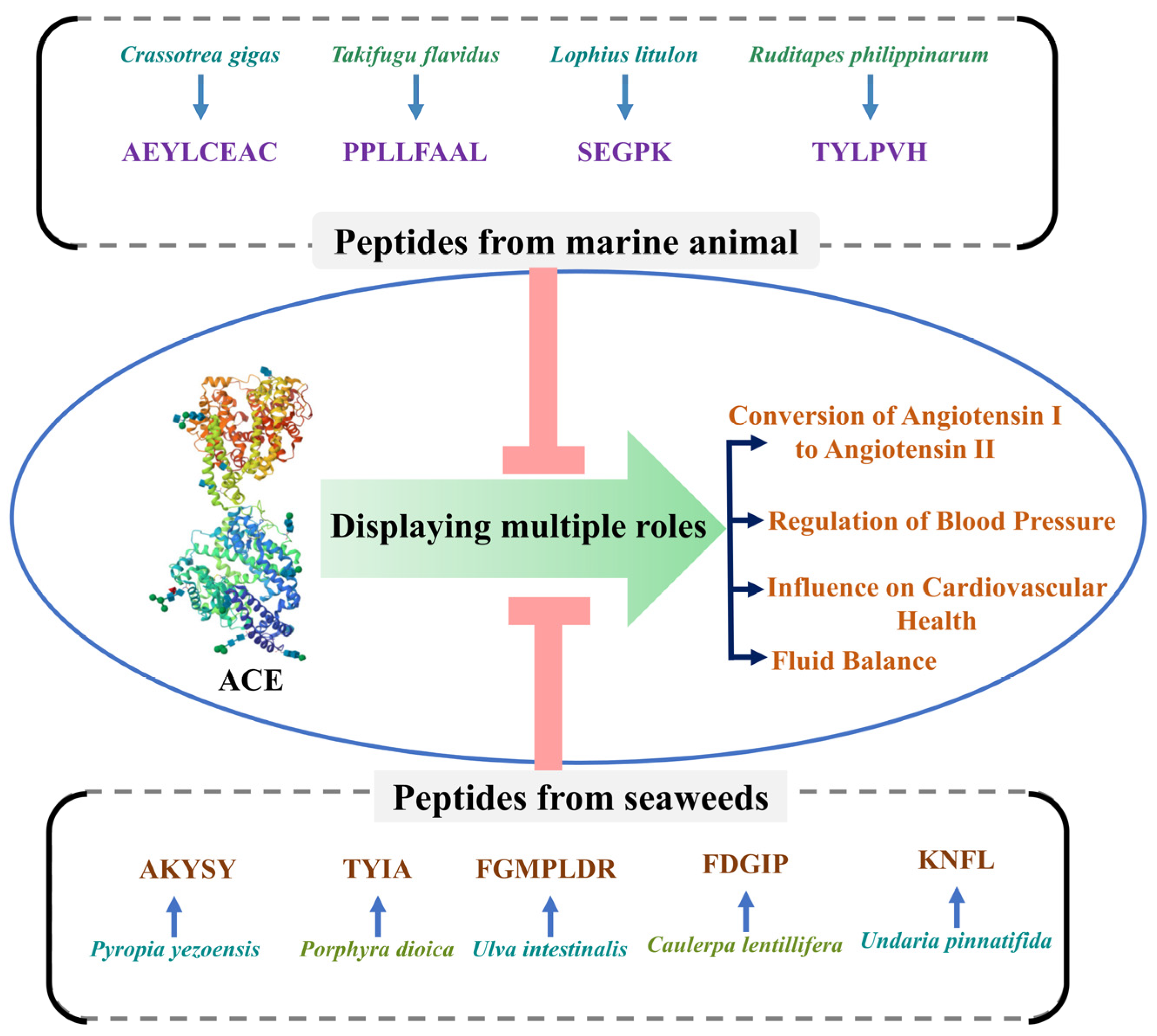 Marinedrugs 22 00449 g001