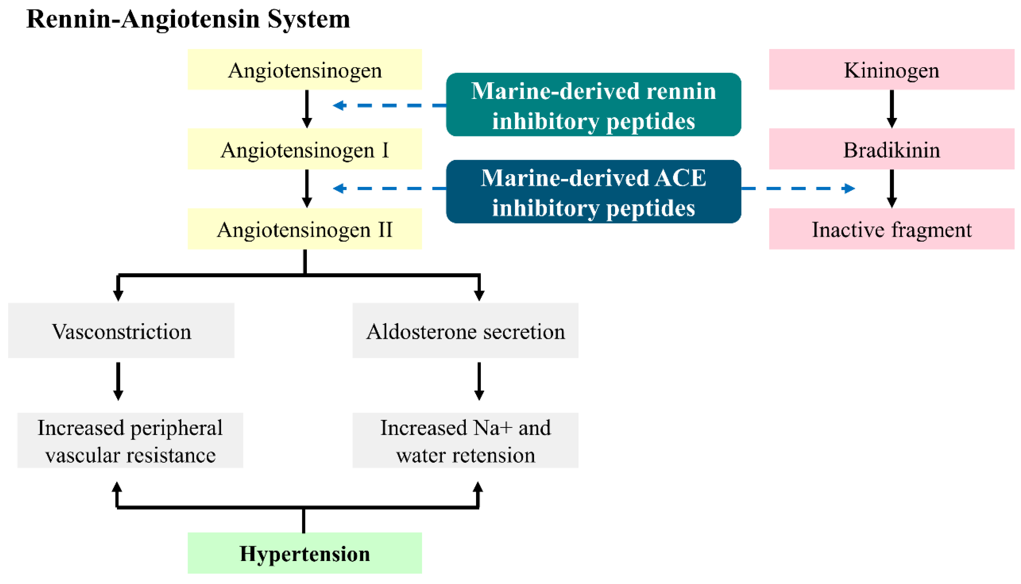 Marinedrugs 22 00449 g003