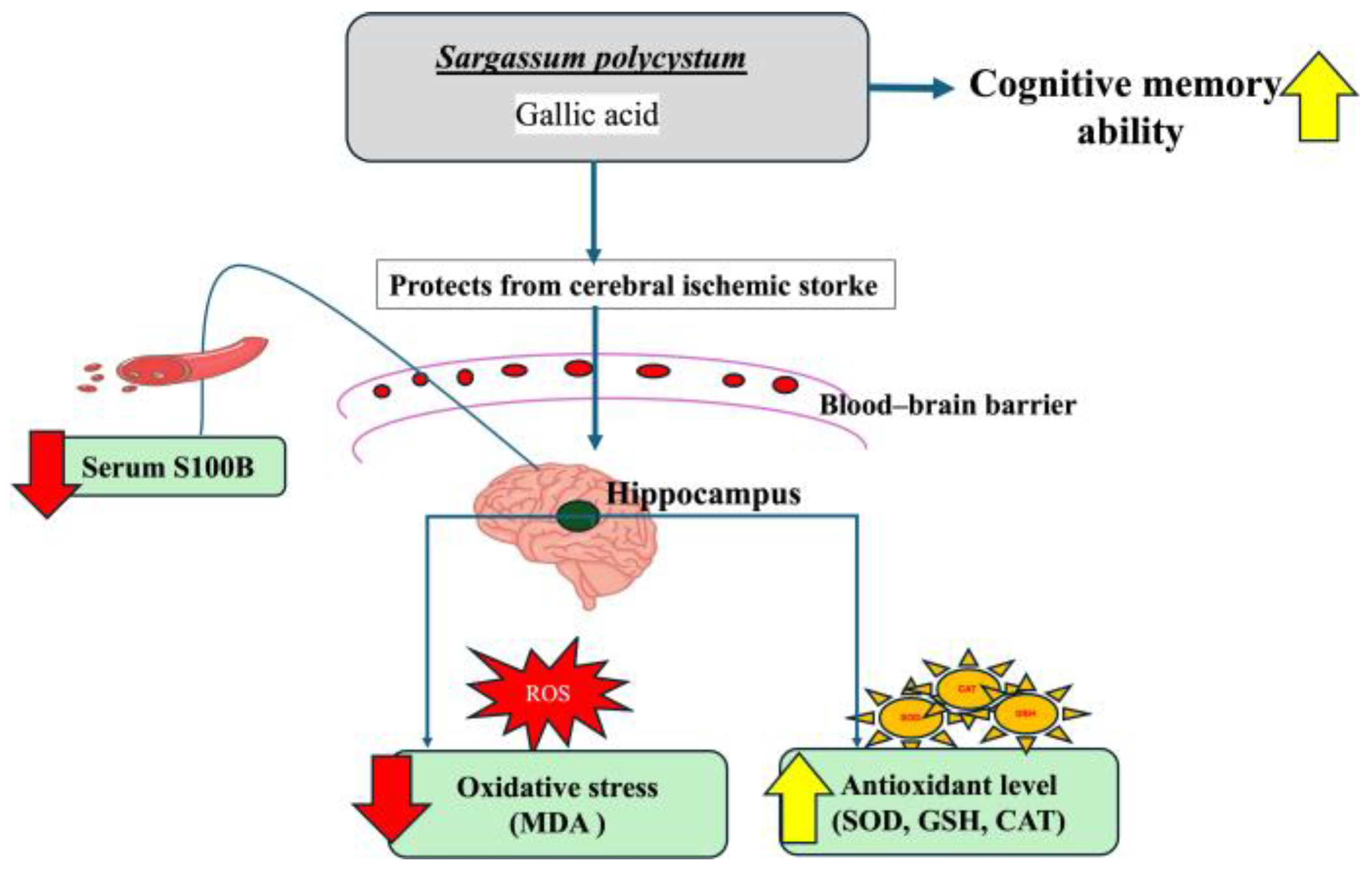 Marinedrugs 22 00451 g006