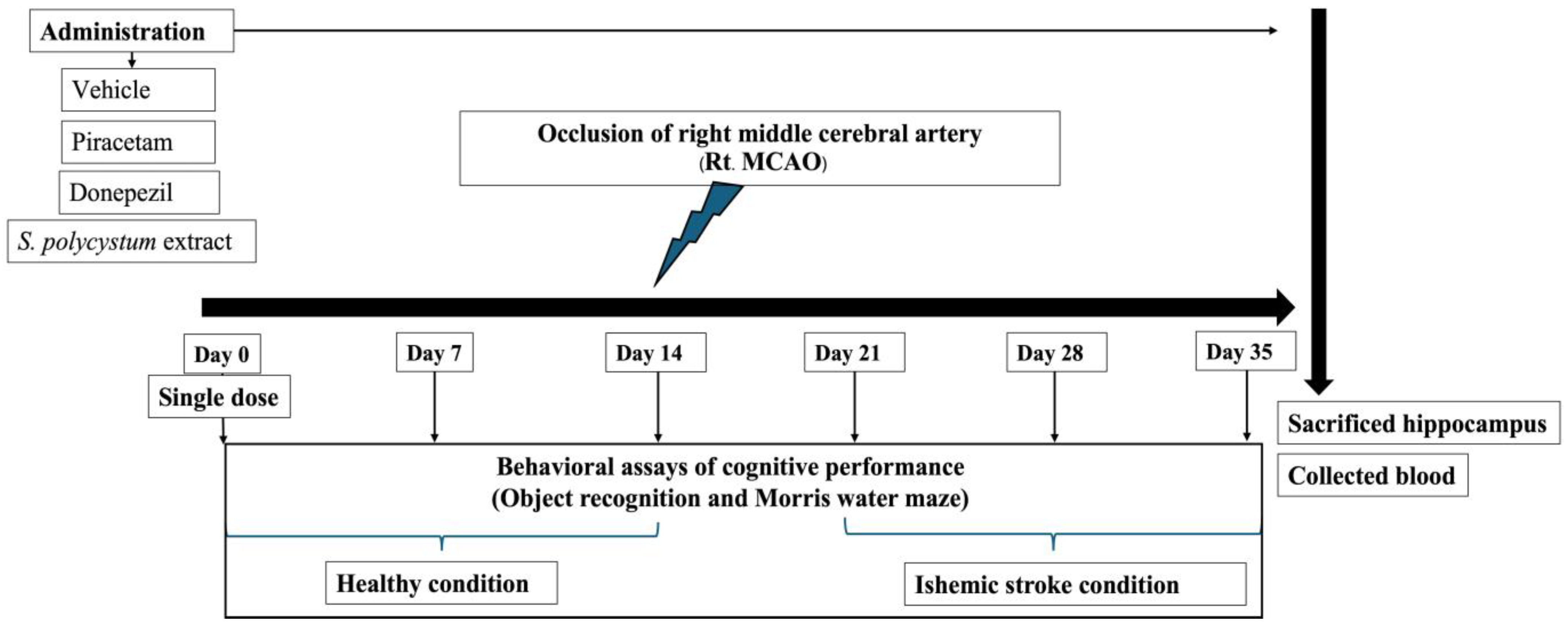 Marinedrugs 22 00451 g007