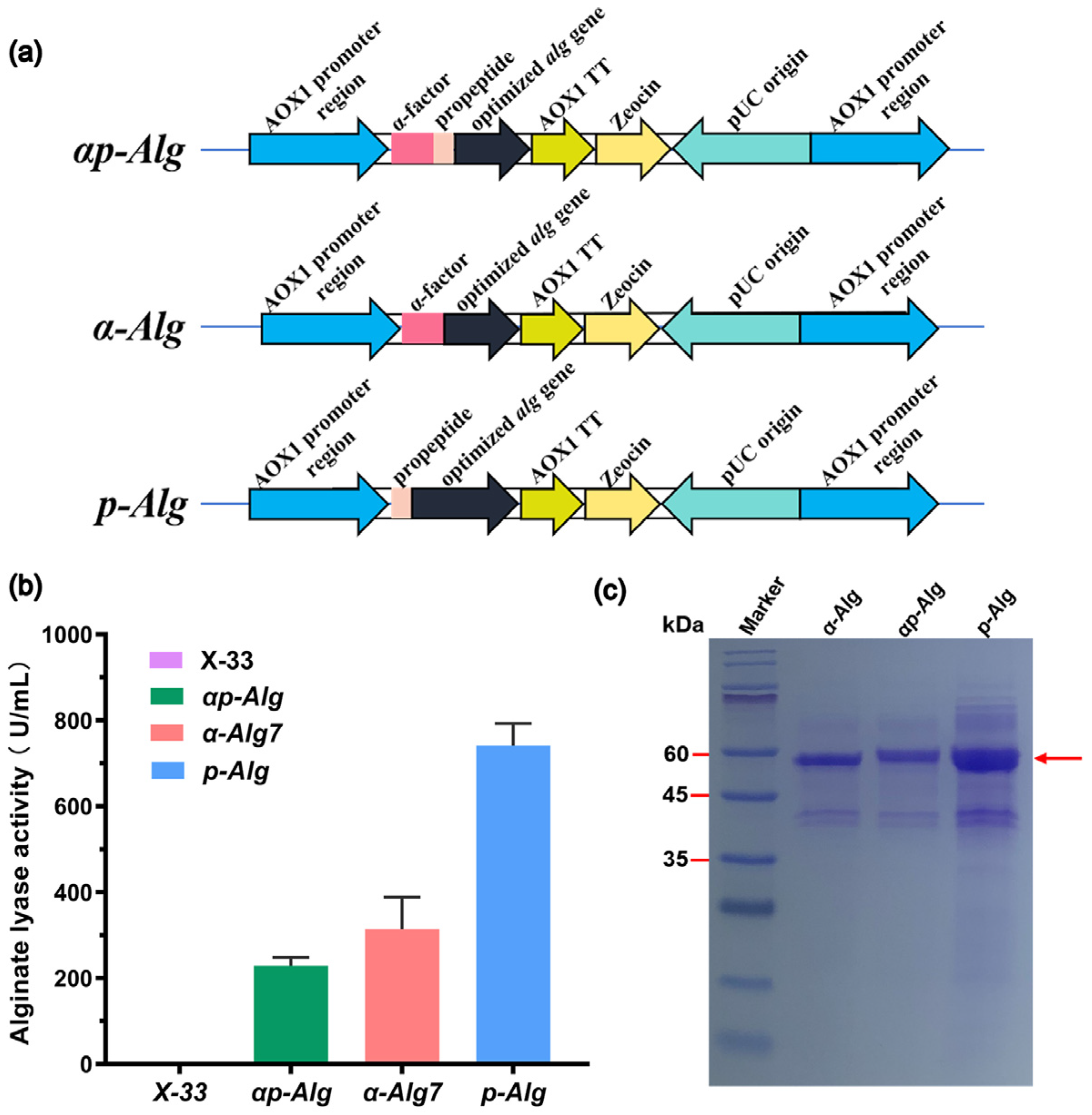 Marinedrugs 22 00453 g001
