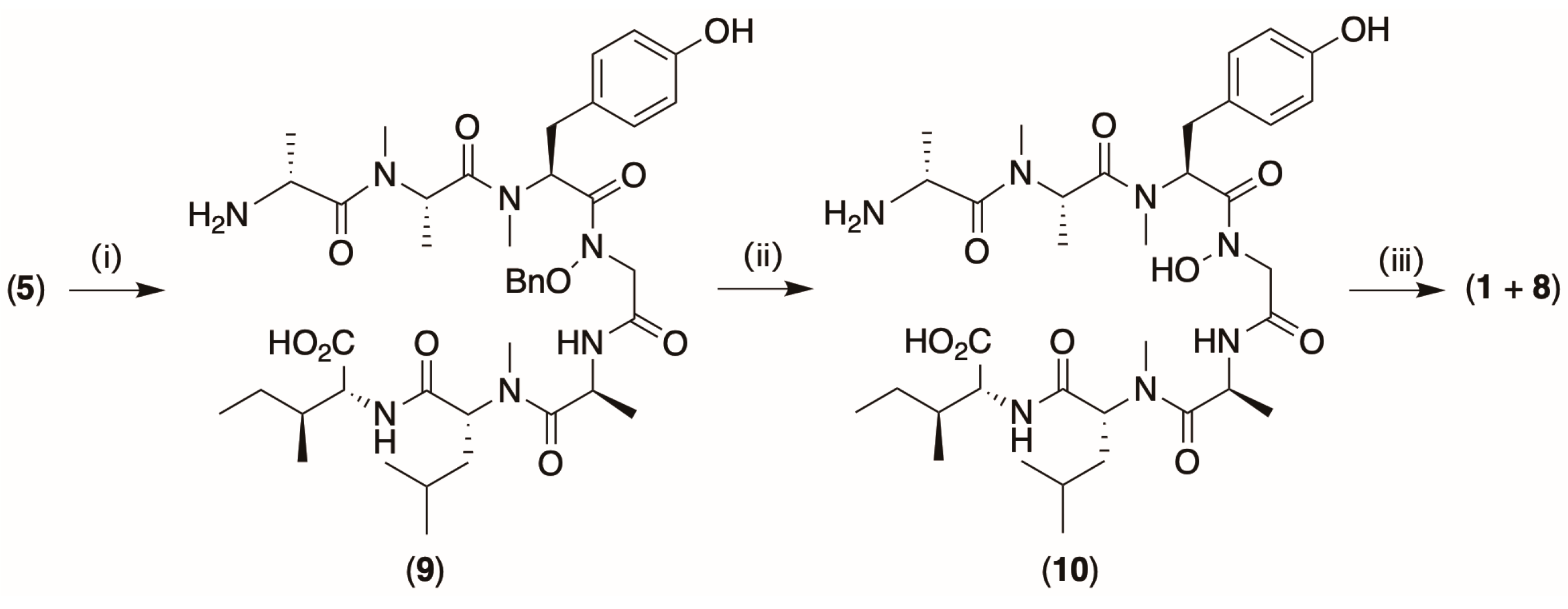 Marinedrugs 22 00454 sch003