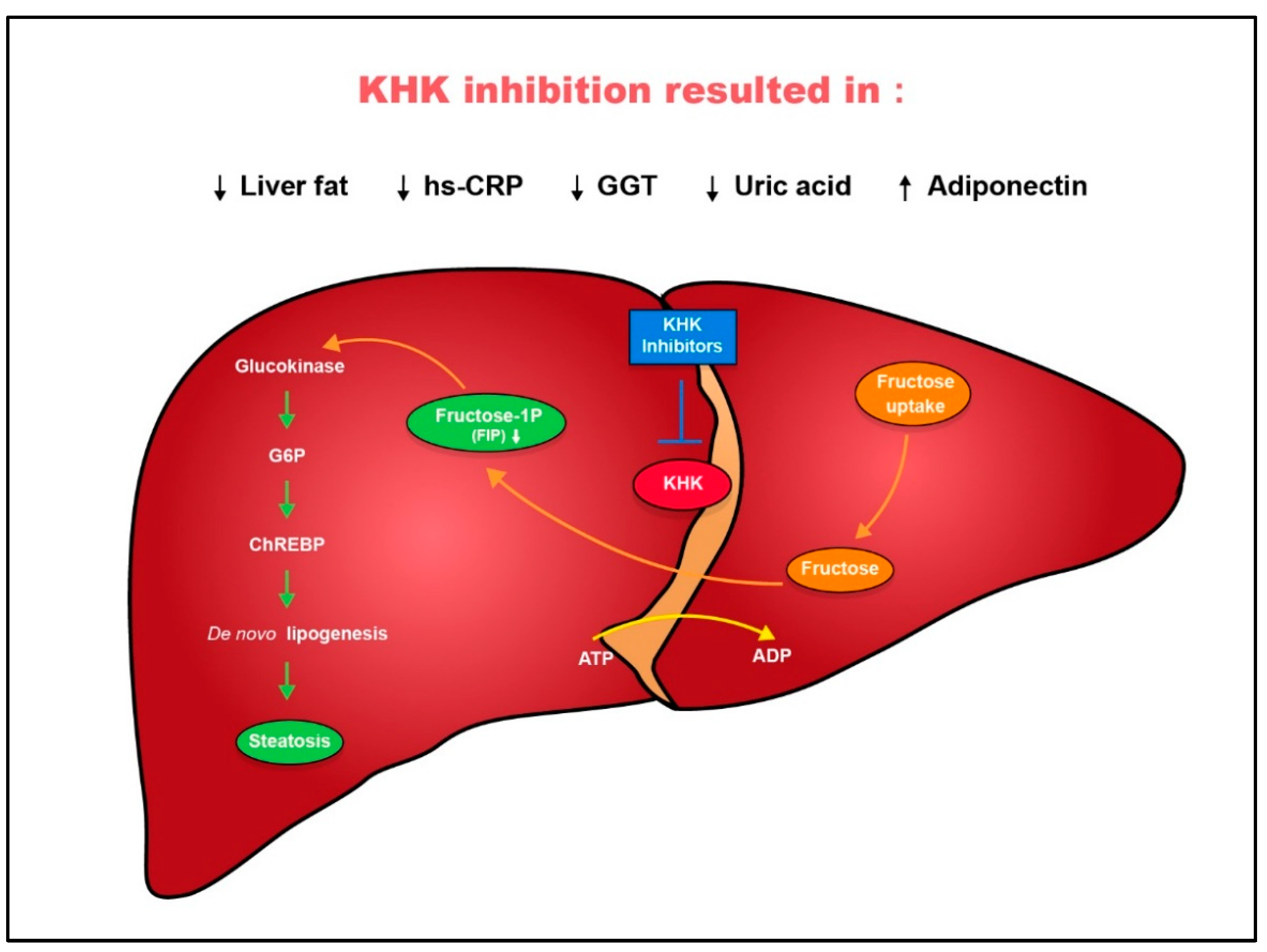 Marinedrugs 22 00455 g001