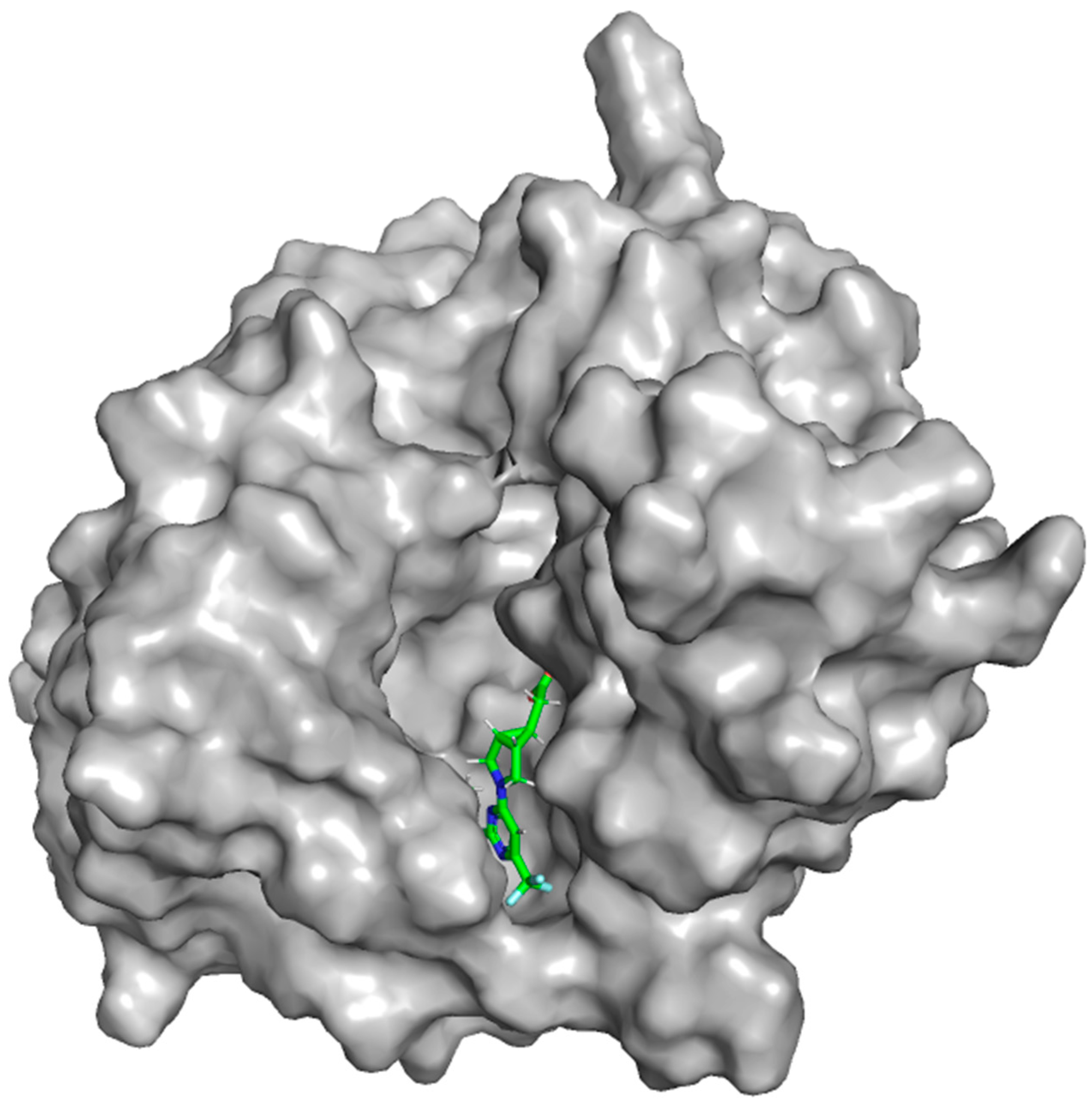 Marinedrugs 22 00455 g012