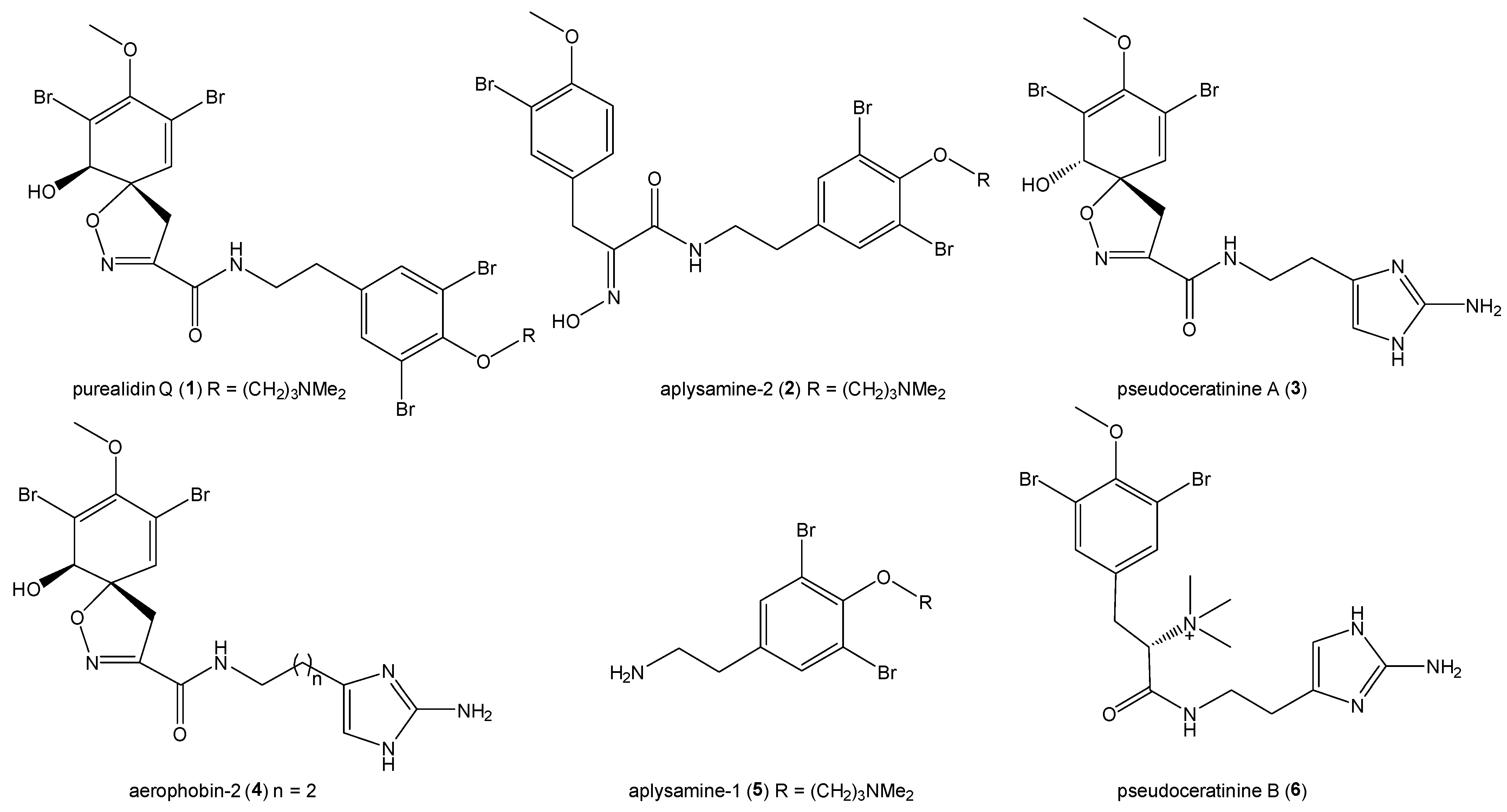 Marinedrugs 22 00456 g002 Marinedrugs 22 00456 g002