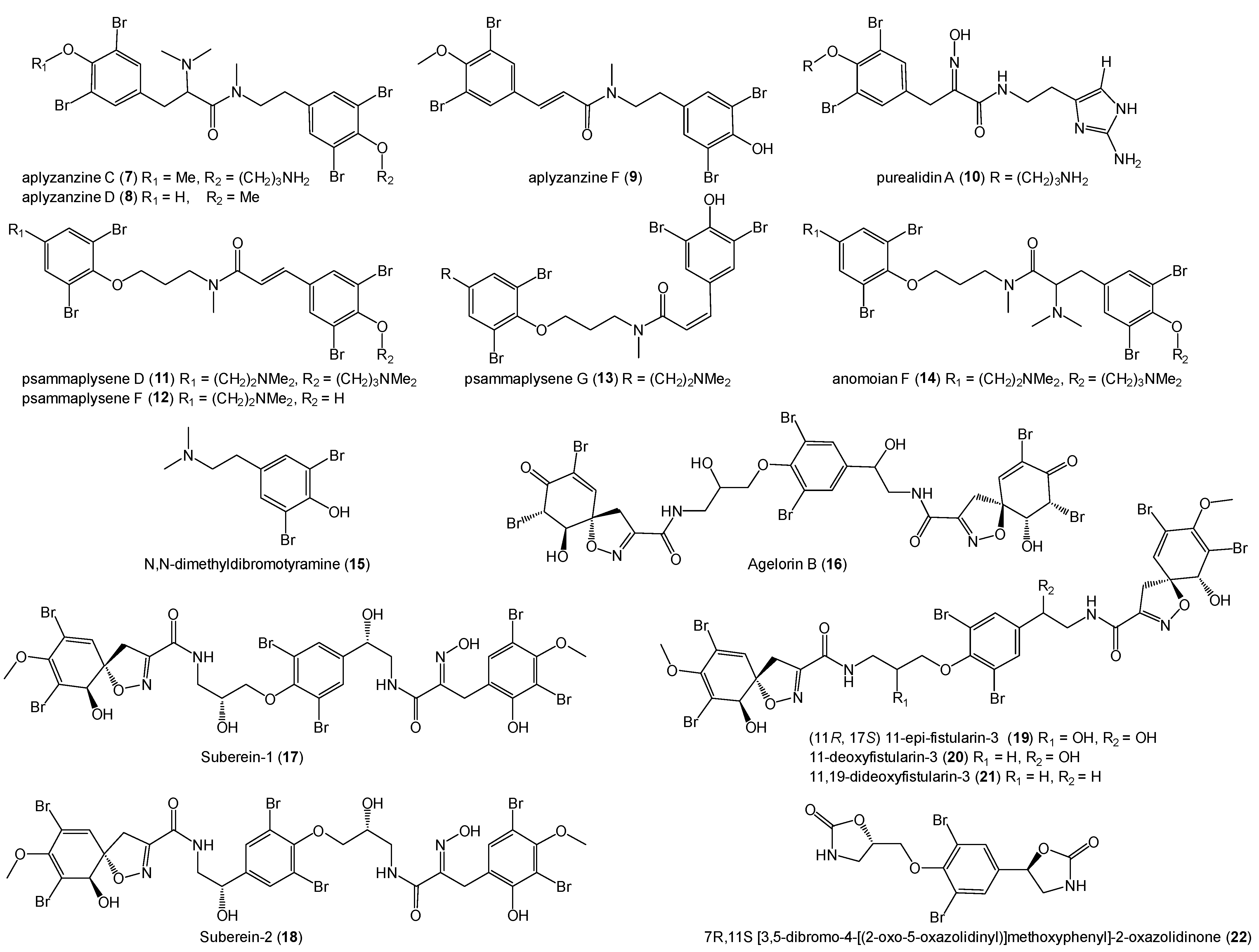 Marinedrugs 22 00456 g005 Marinedrugs 22 00456 g005
