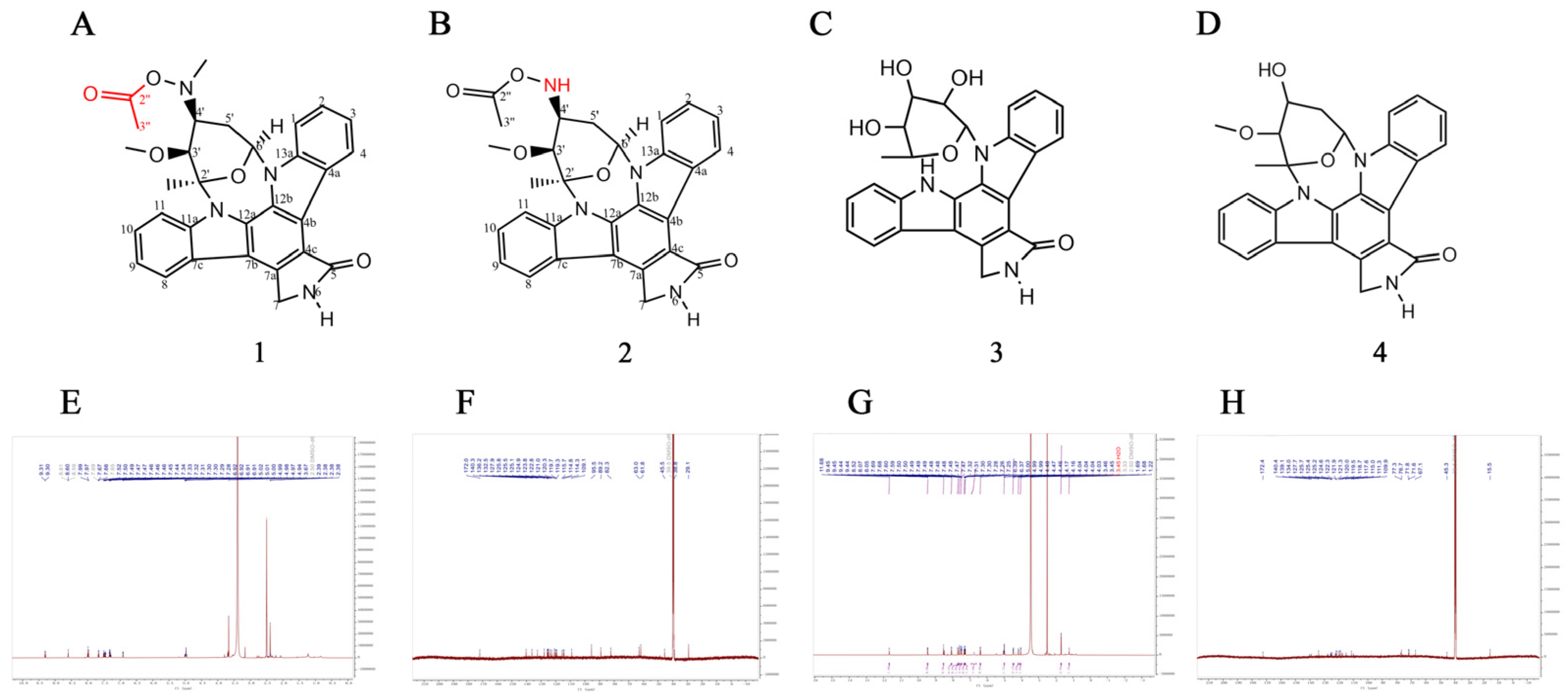 Marinedrugs 22 00459 g001 Marinedrugs 22 00459 g001