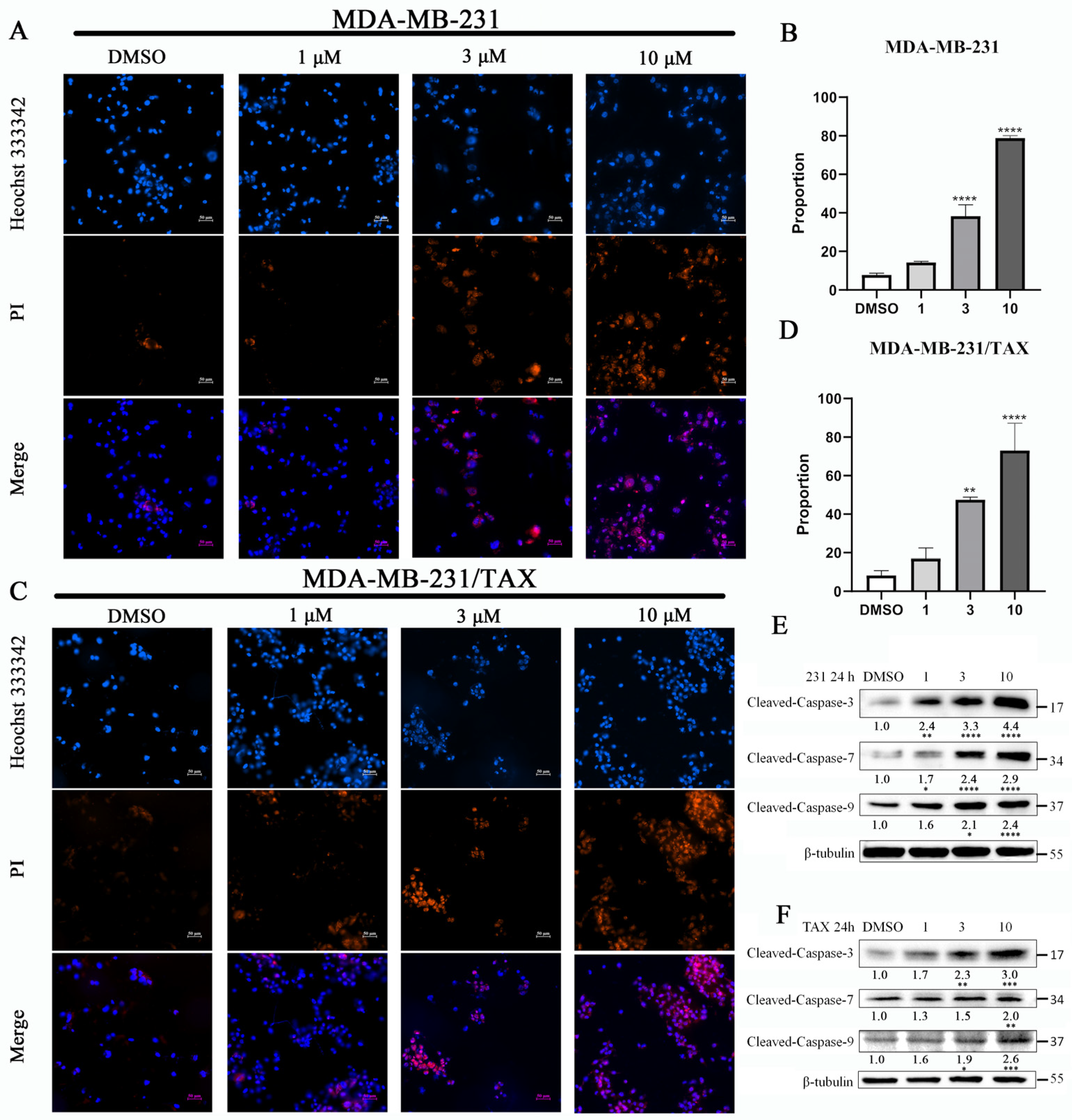Marinedrugs 22 00459 g003 Marinedrugs 22 00459 g003