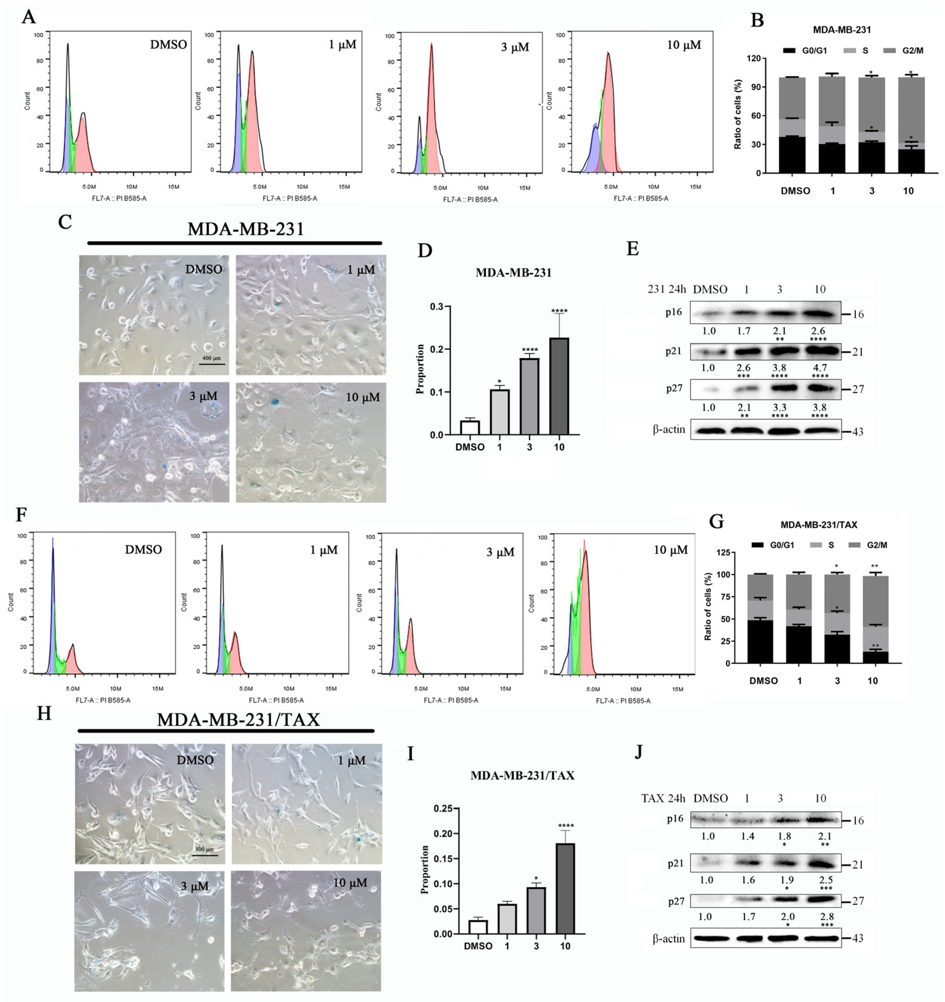 Marinedrugs 22 00459 g004 Marinedrugs 22 00459 g004