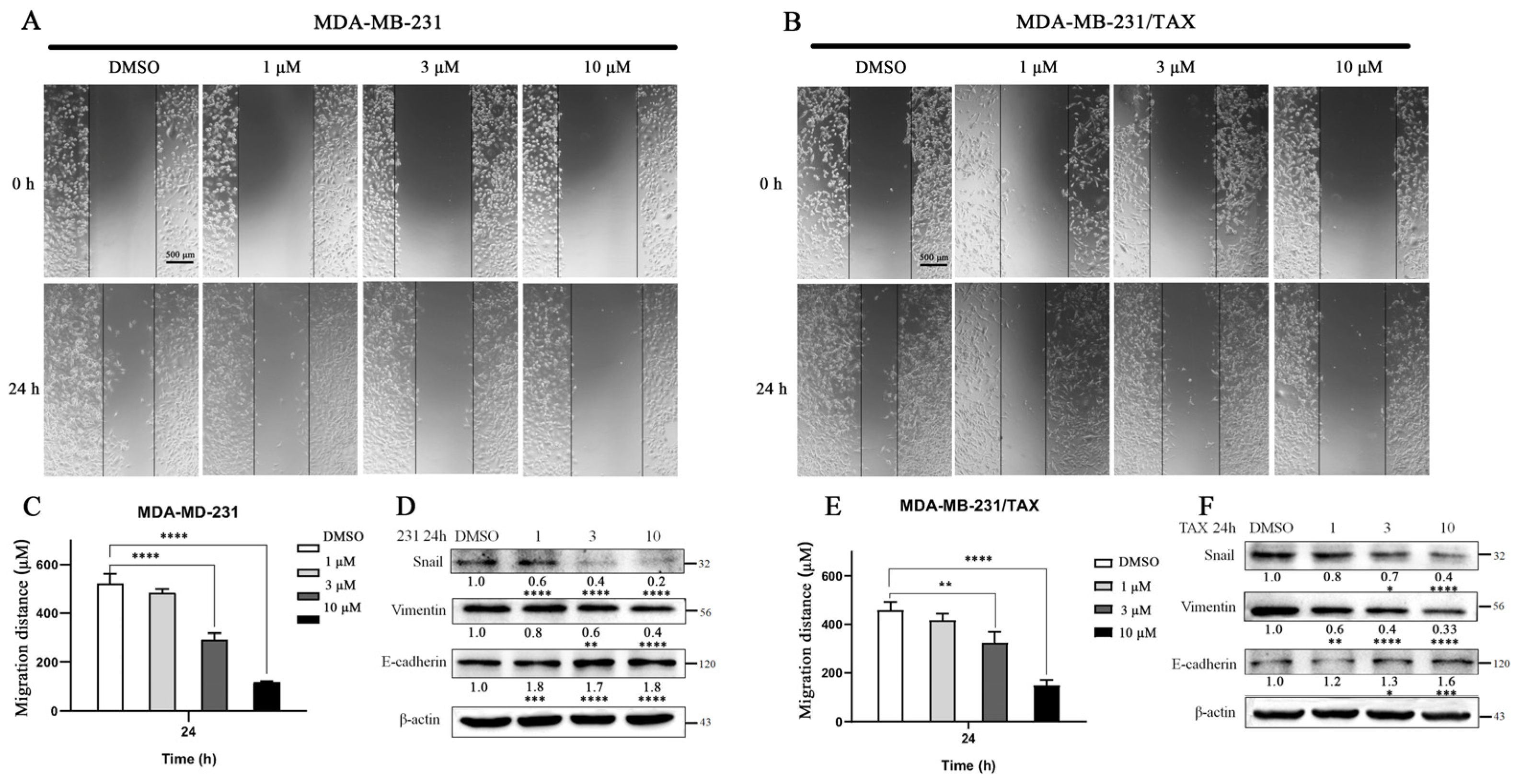 Marinedrugs 22 00459 g006 Marinedrugs 22 00459 g006