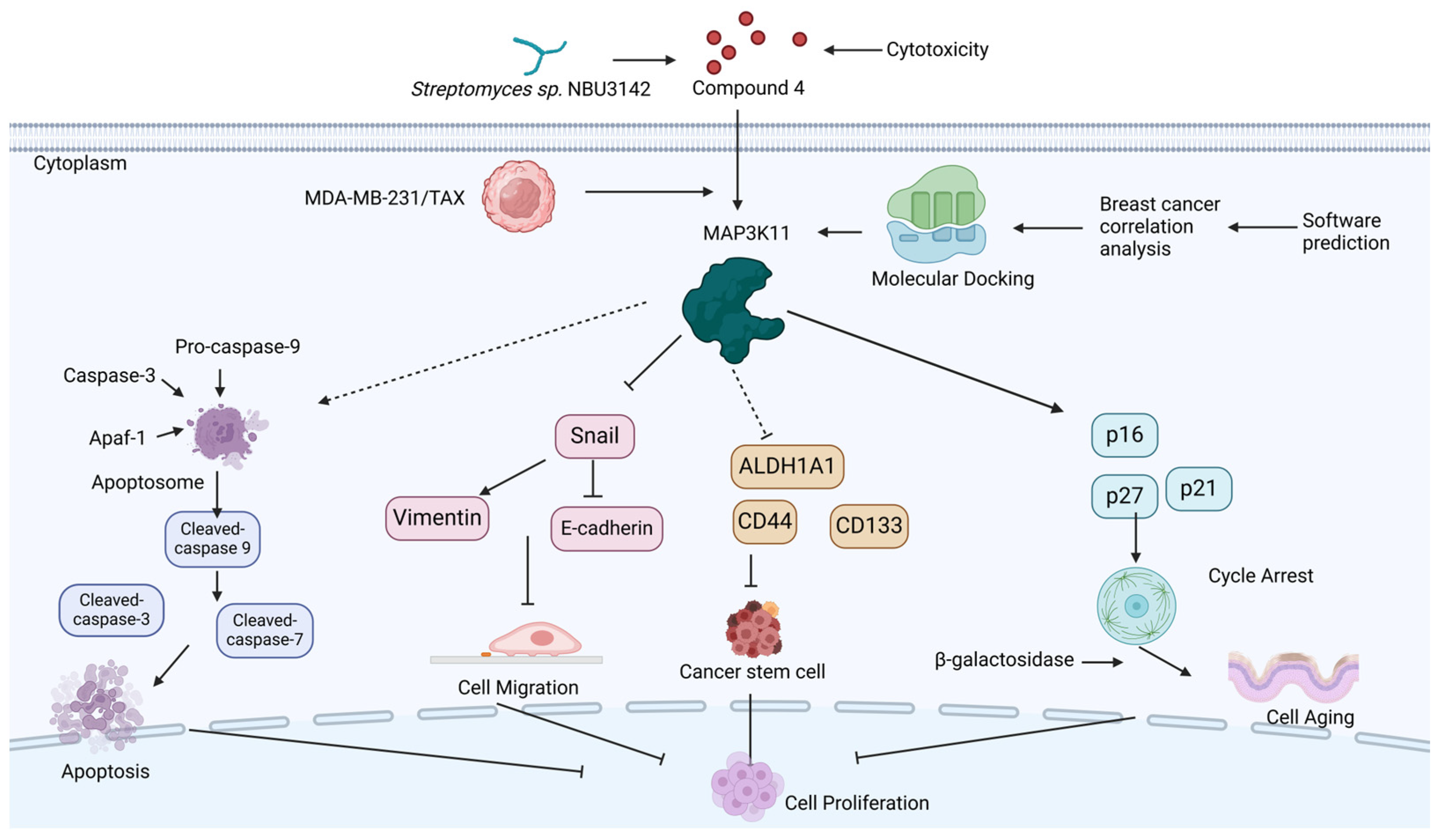 Marinedrugs 22 00459 g008 Marinedrugs 22 00459 g008