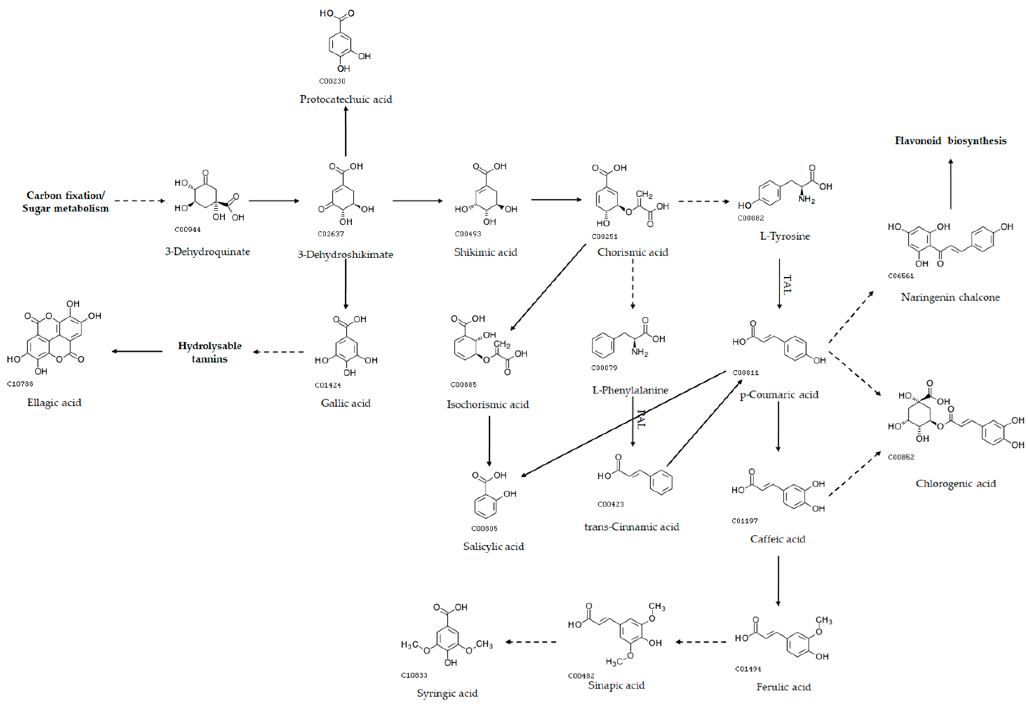 Marinedrugs 22 00460 g005