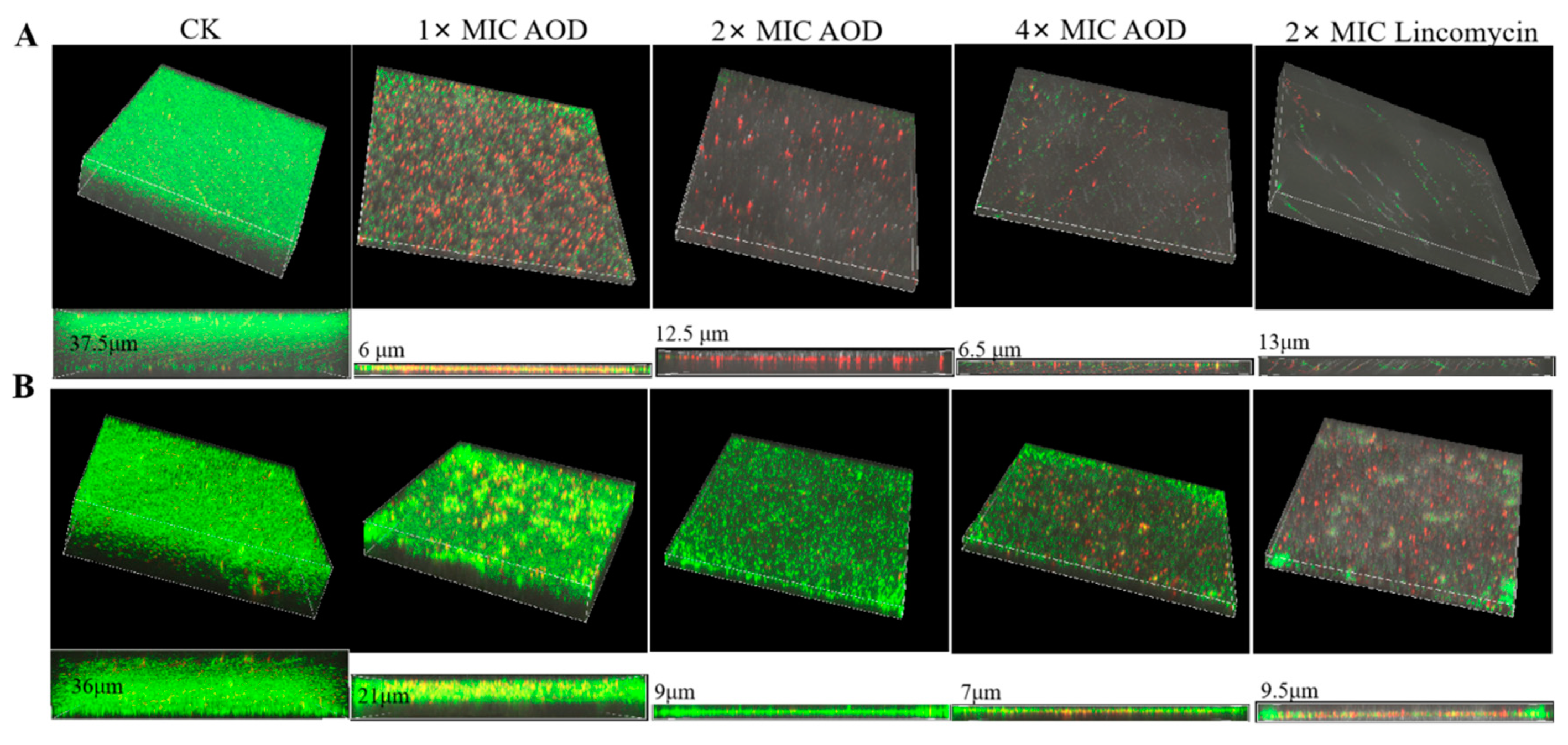 Marinedrugs 22 00463 g006 Marinedrugs 22 00463 g006