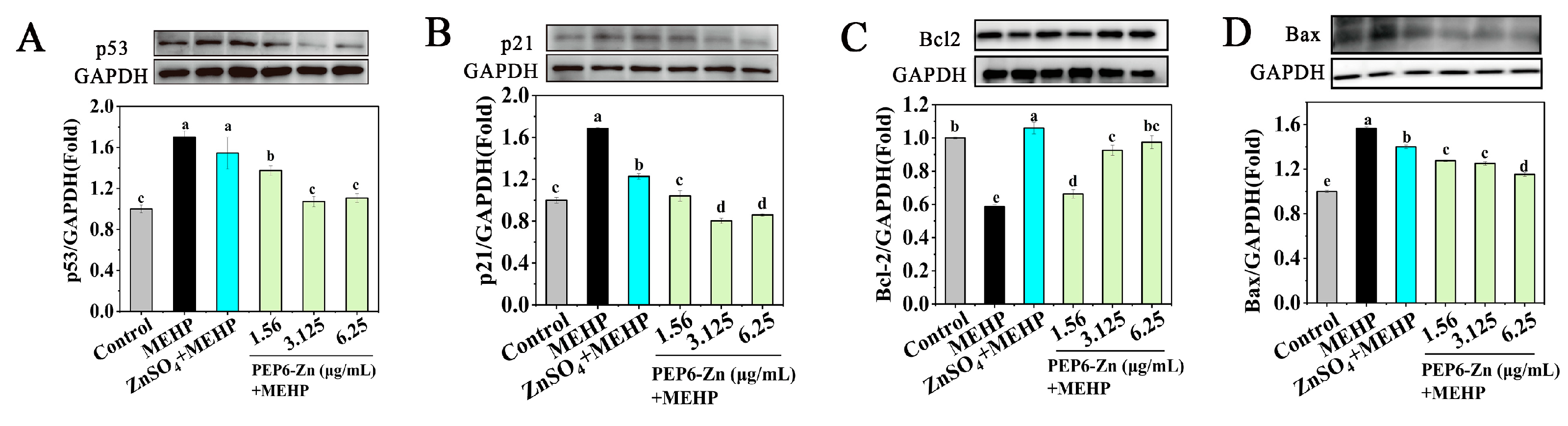 Marinedrugs 22 00465 g008