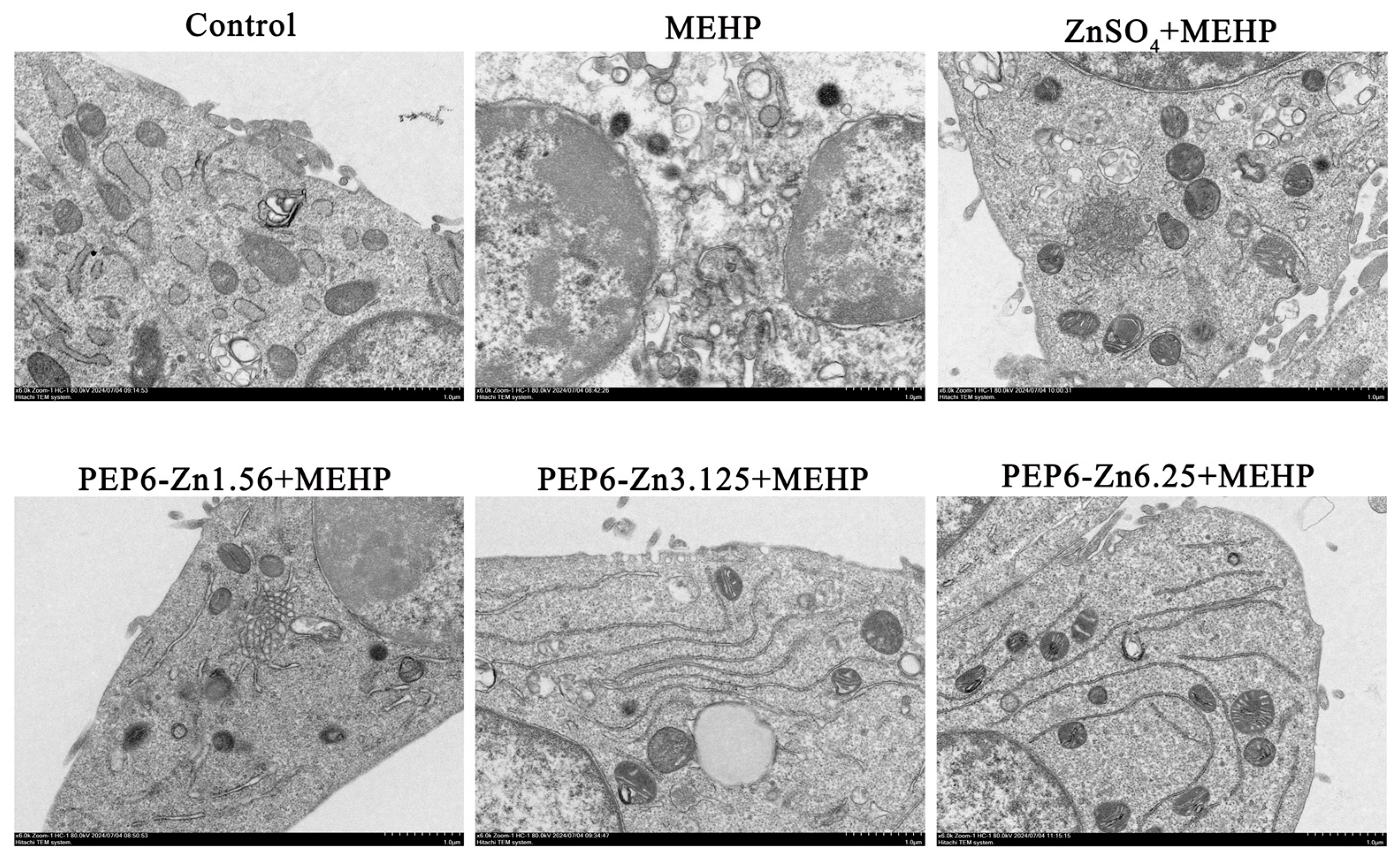 Marinedrugs 22 00465 g009