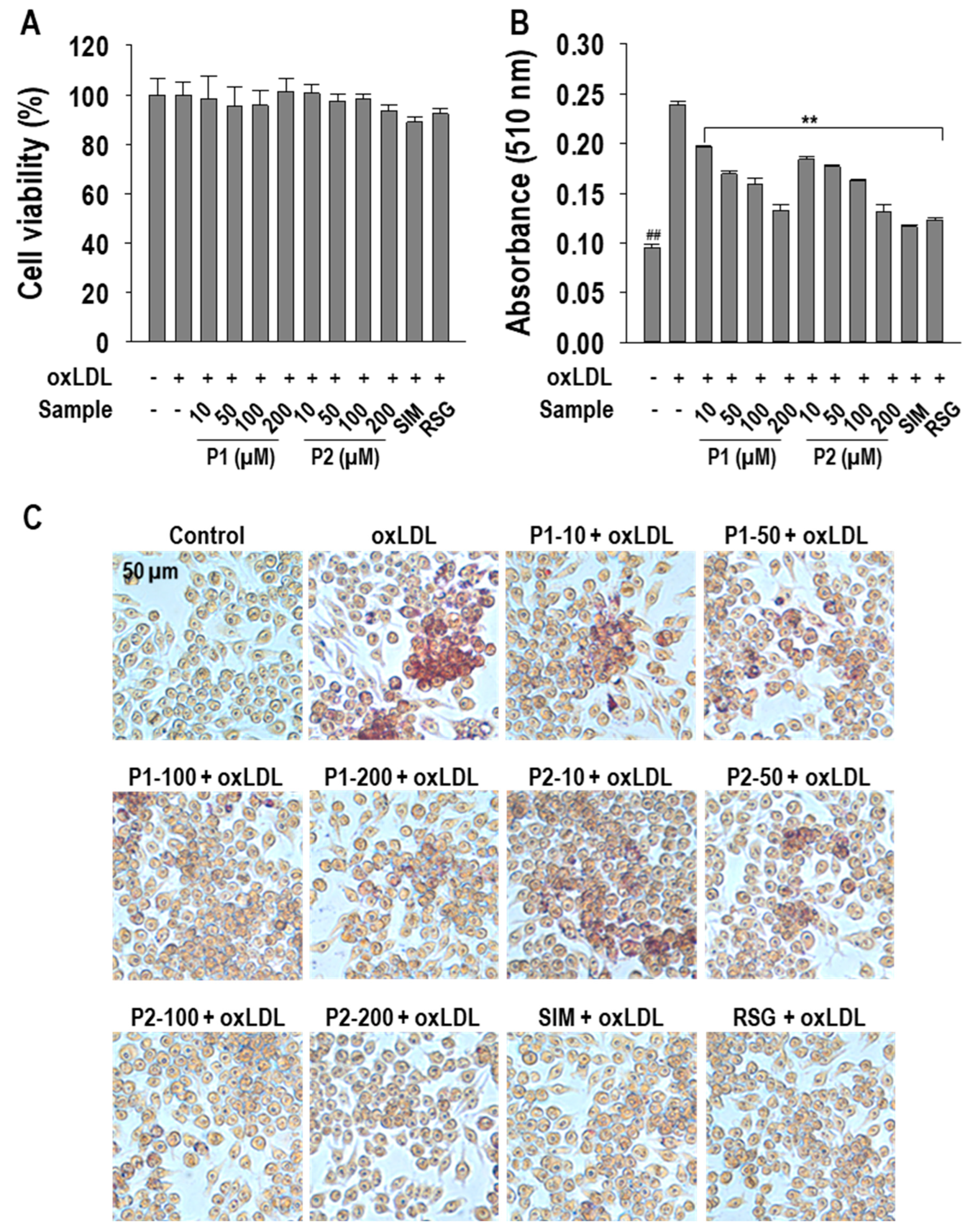 Marinedrugs 22 00466 g002