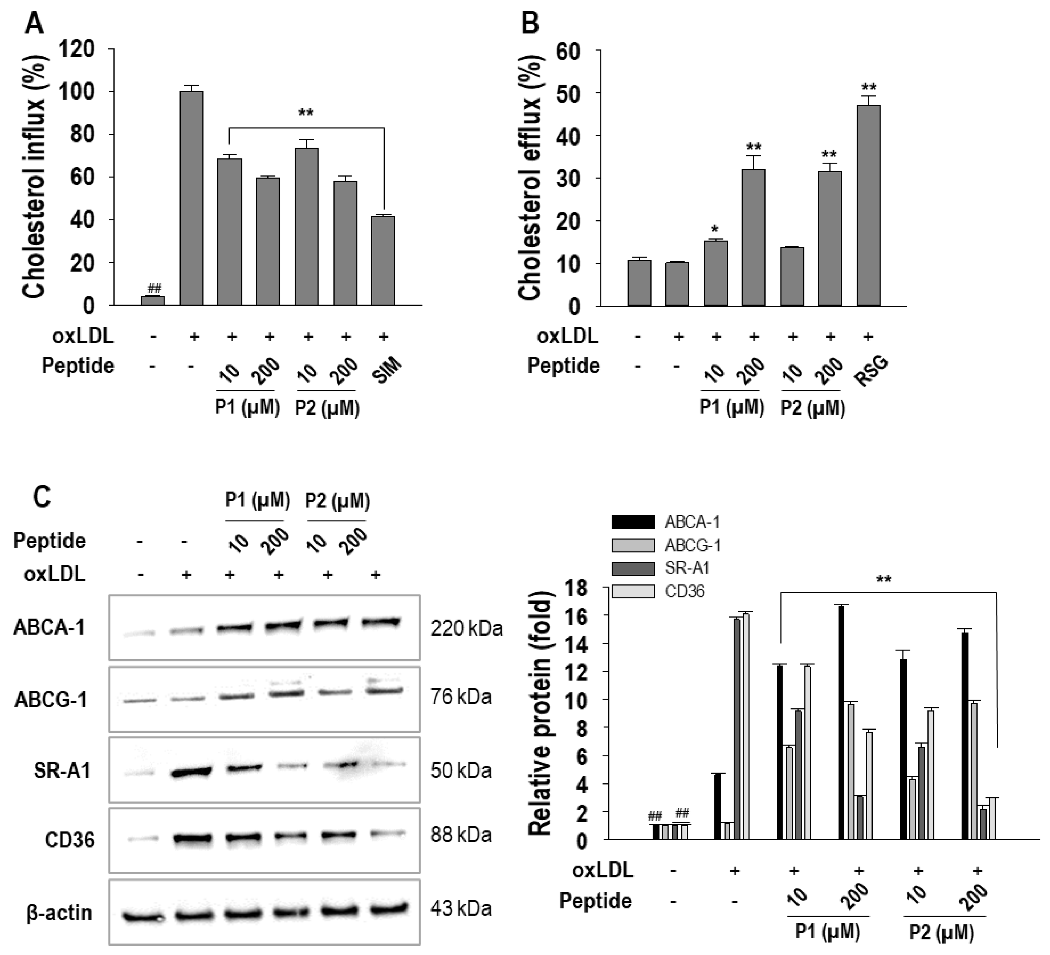 Marinedrugs 22 00466 g004