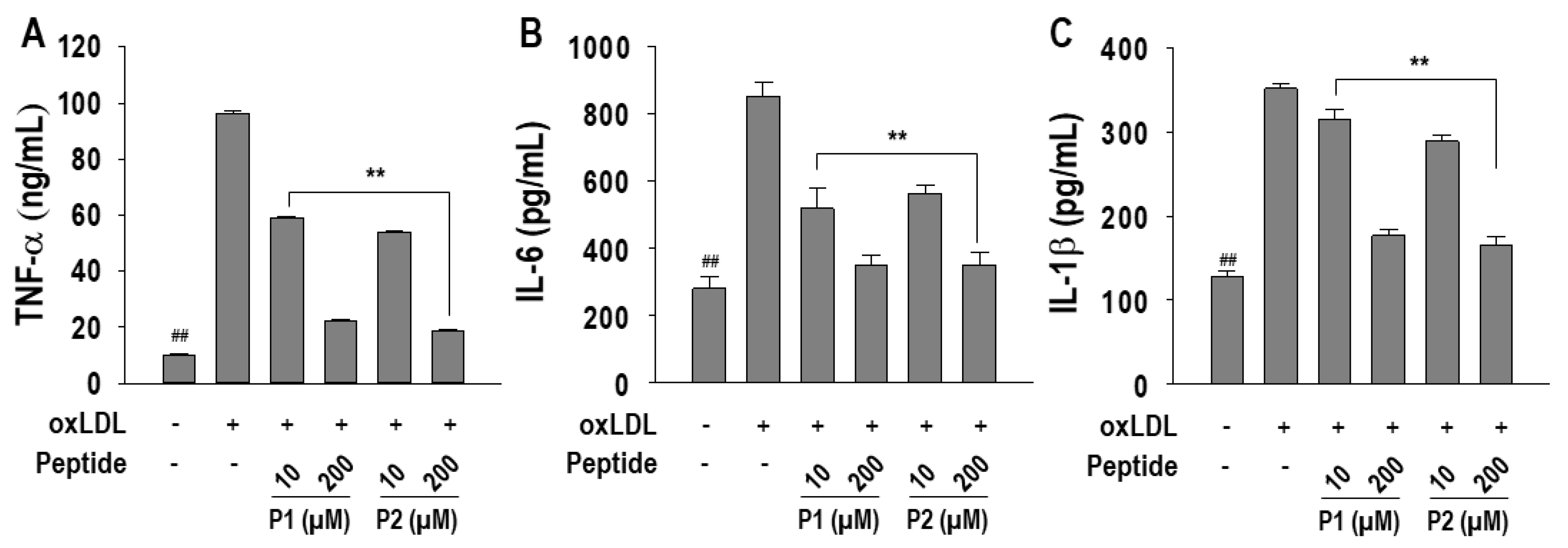 Marinedrugs 22 00466 g006