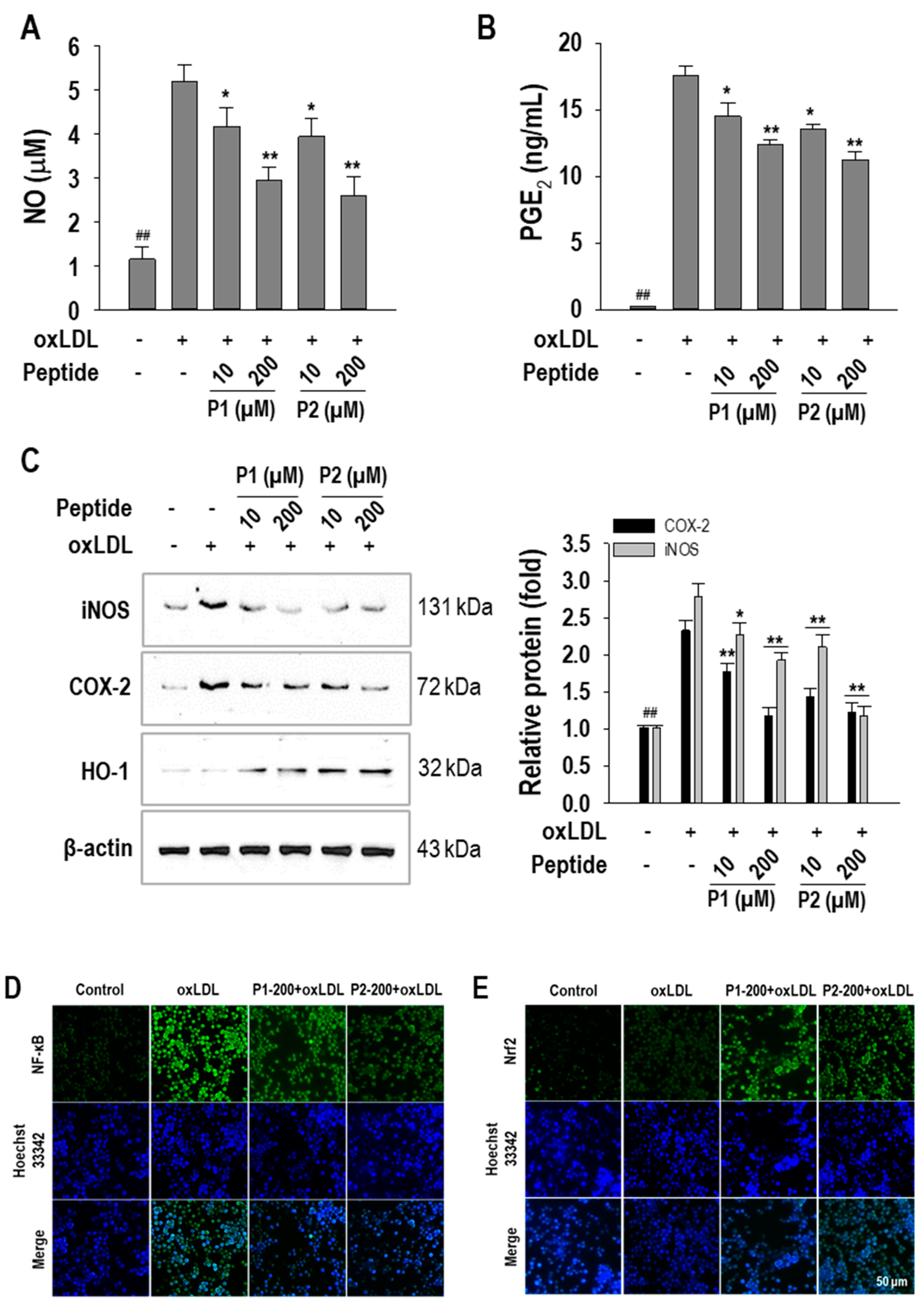 Marinedrugs 22 00466 g007