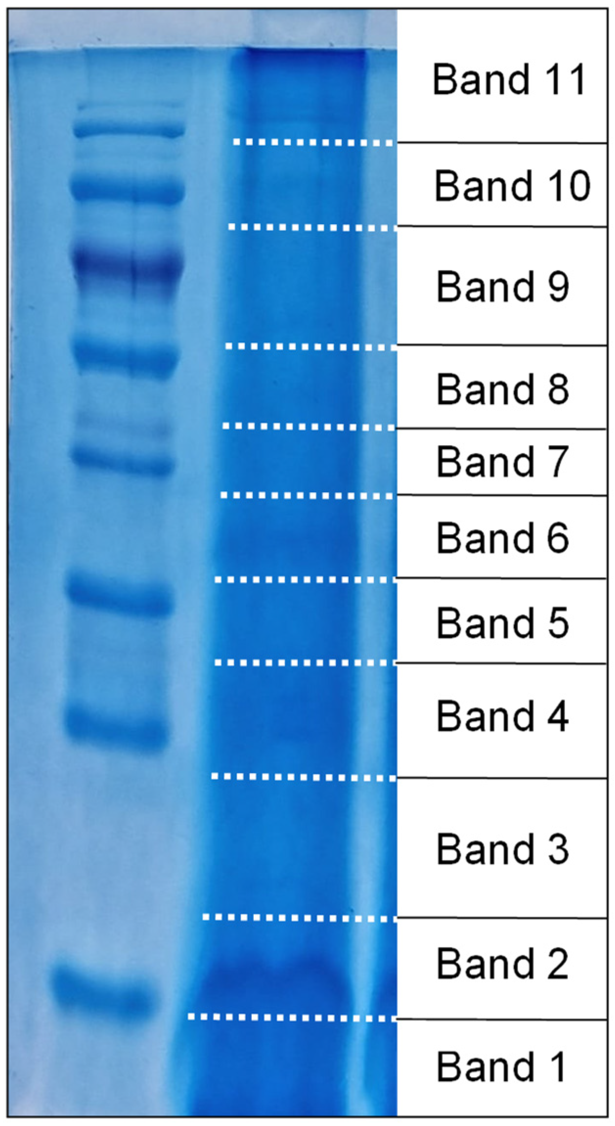Marinedrugs 22 00468 g001