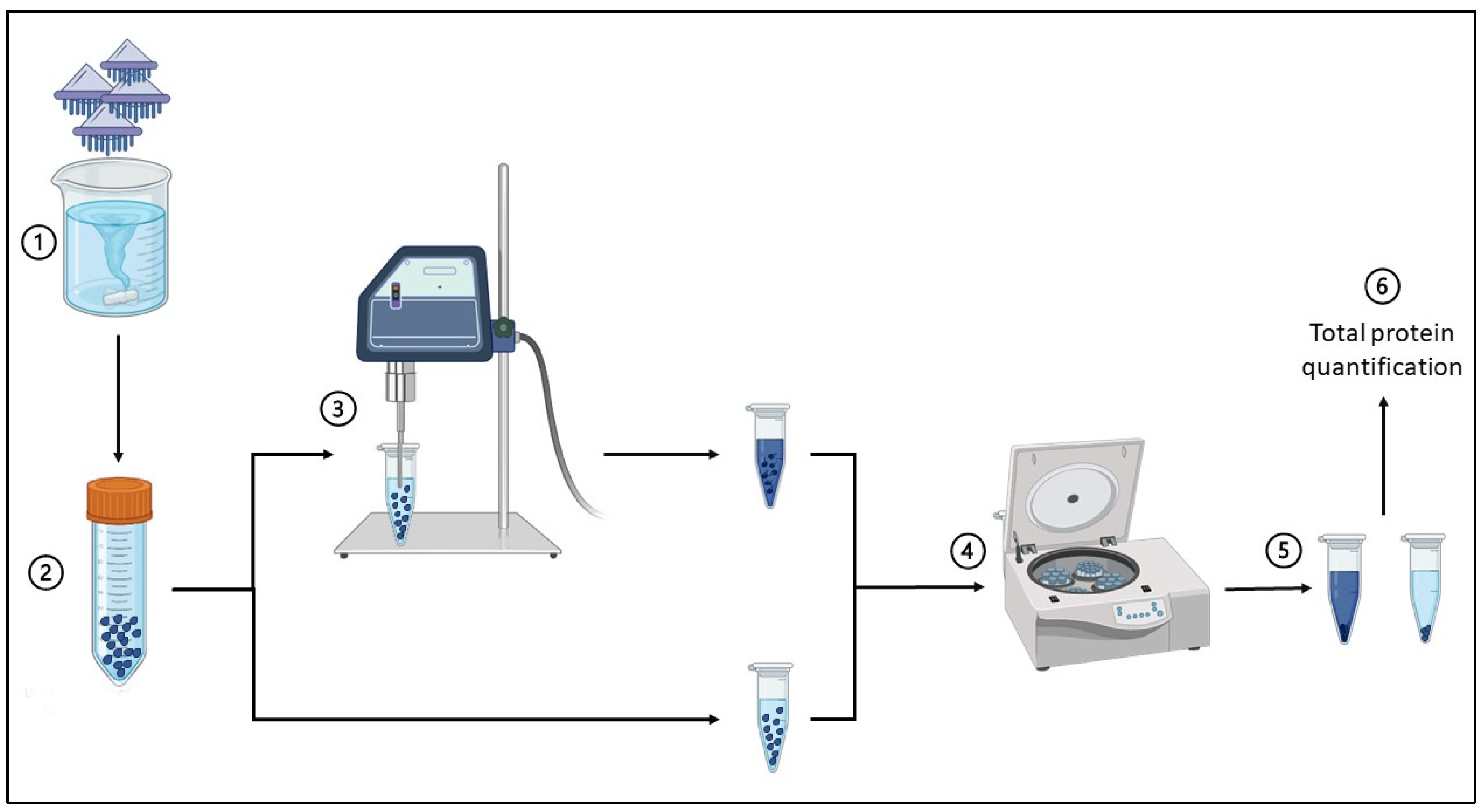 Marinedrugs 22 00468 sch001