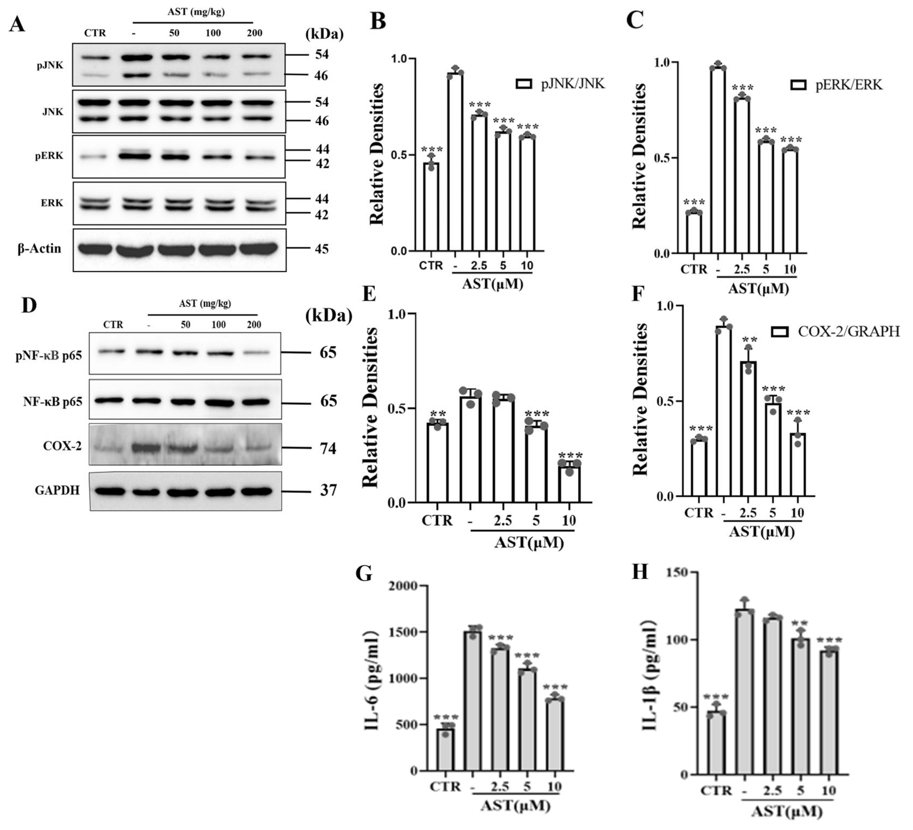 Marinedrugs 22 00469 g002