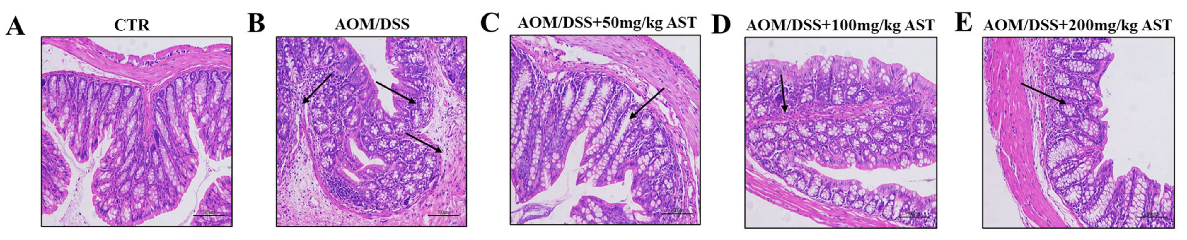 Marinedrugs 22 00469 g004