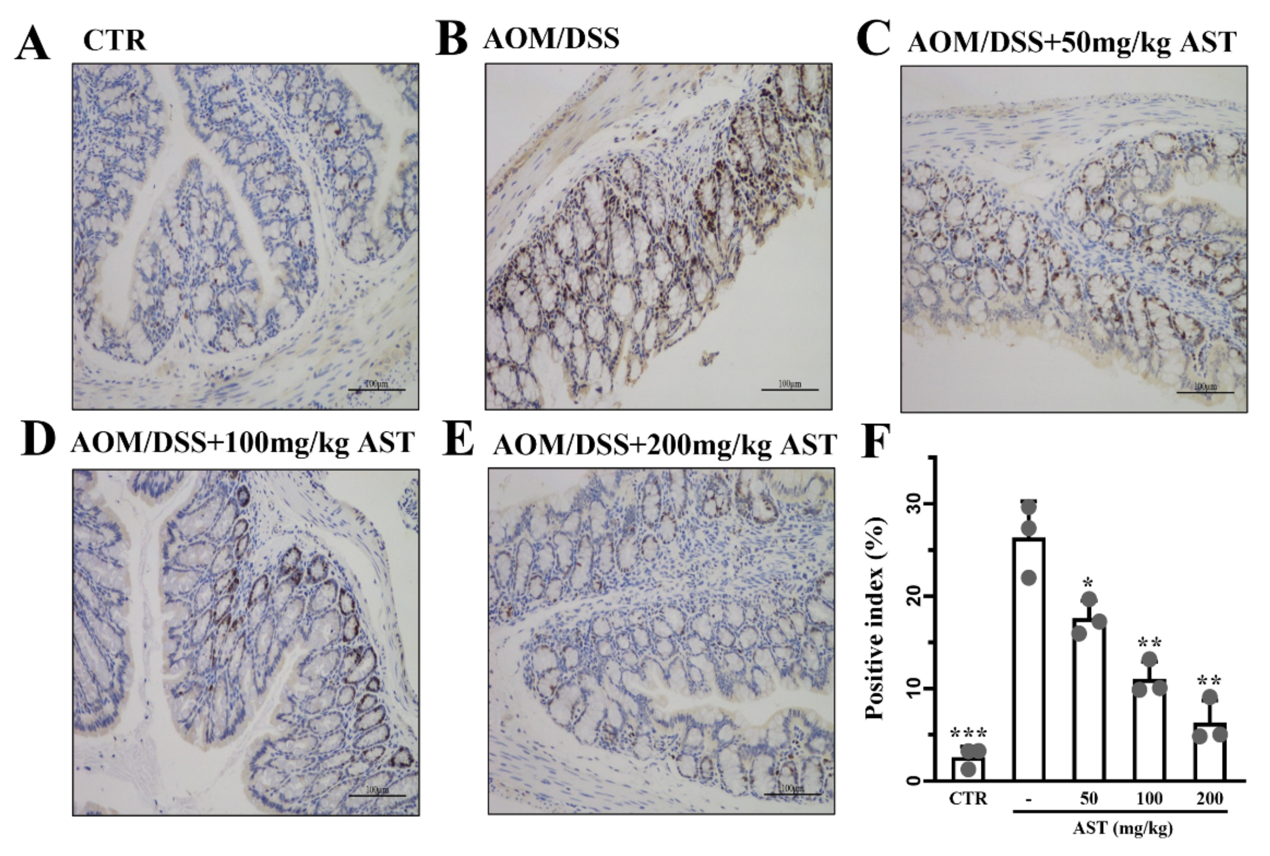 Marinedrugs 22 00469 g005