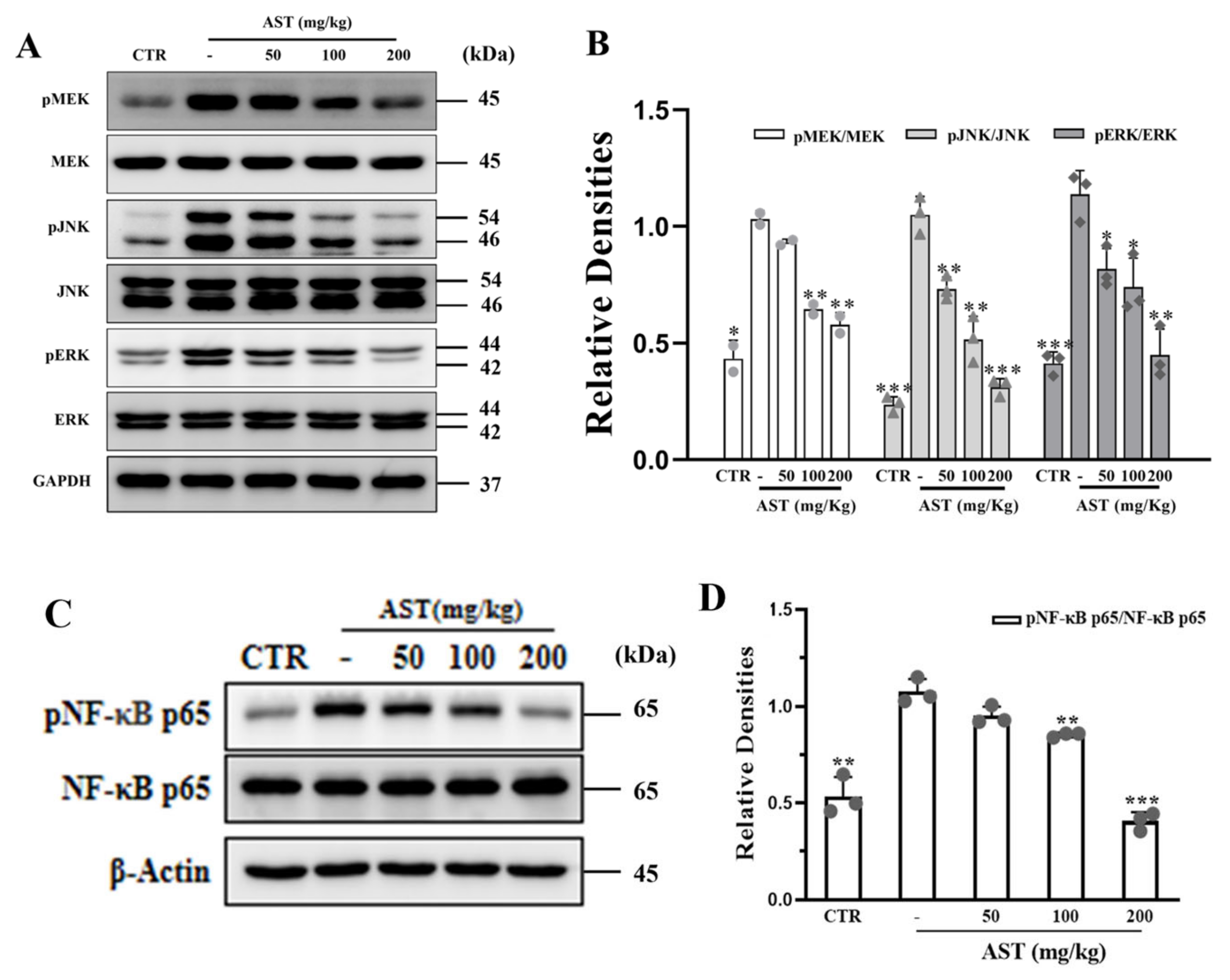 Marinedrugs 22 00469 g006