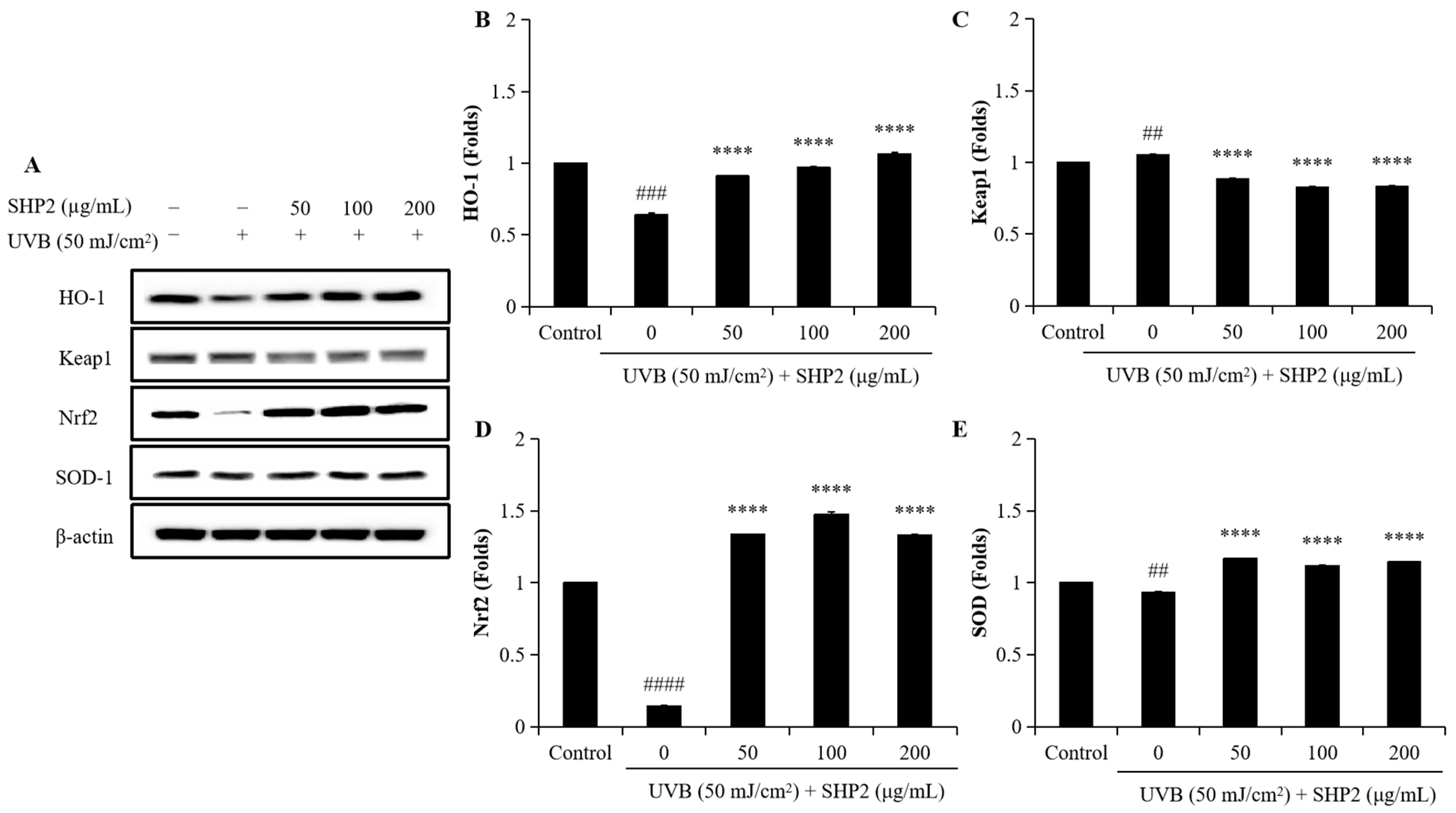 Marinedrugs 22 00471 g005