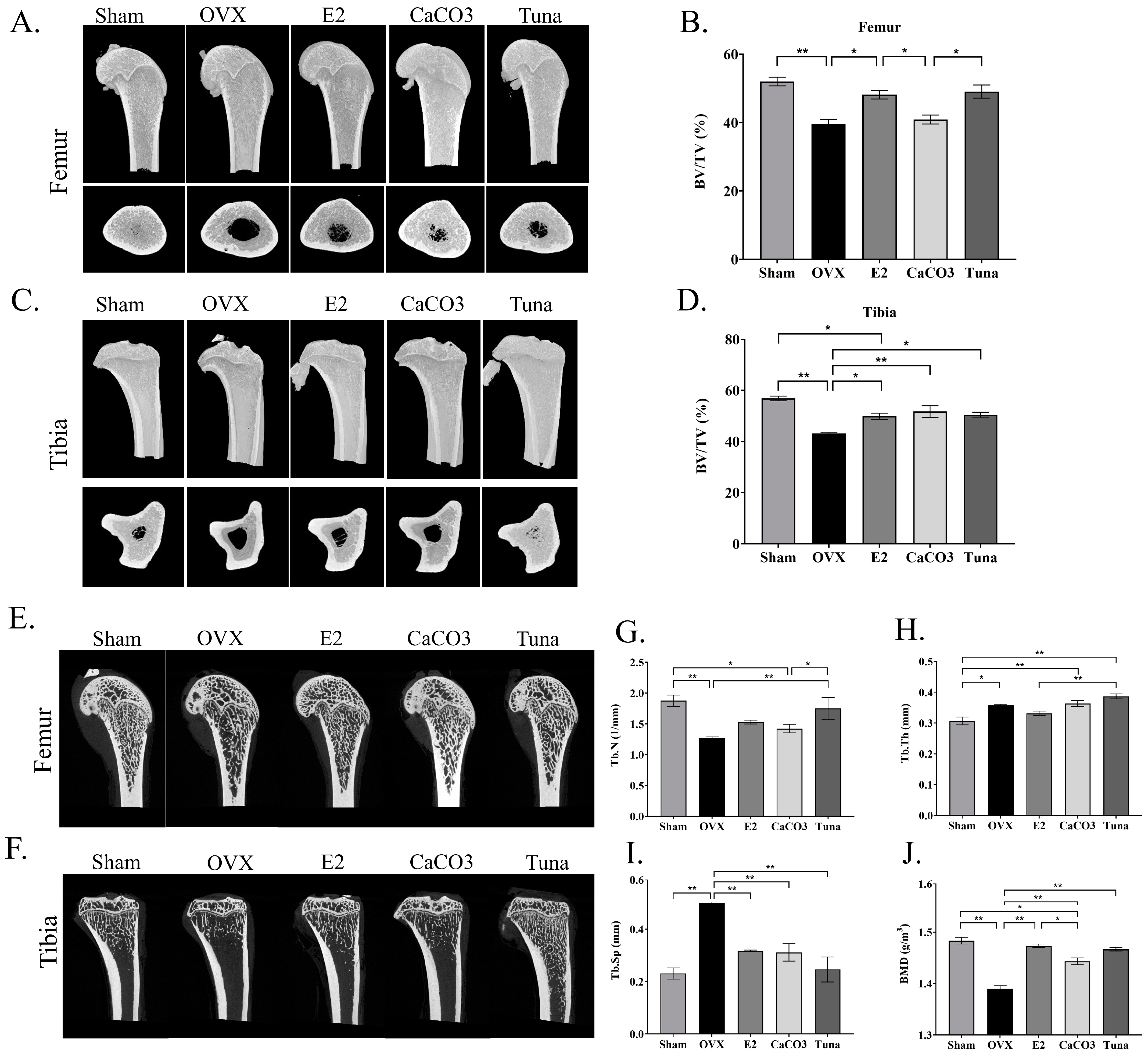 Marinedrugs 22 00472 g002 Marinedrugs 22 00472 g002