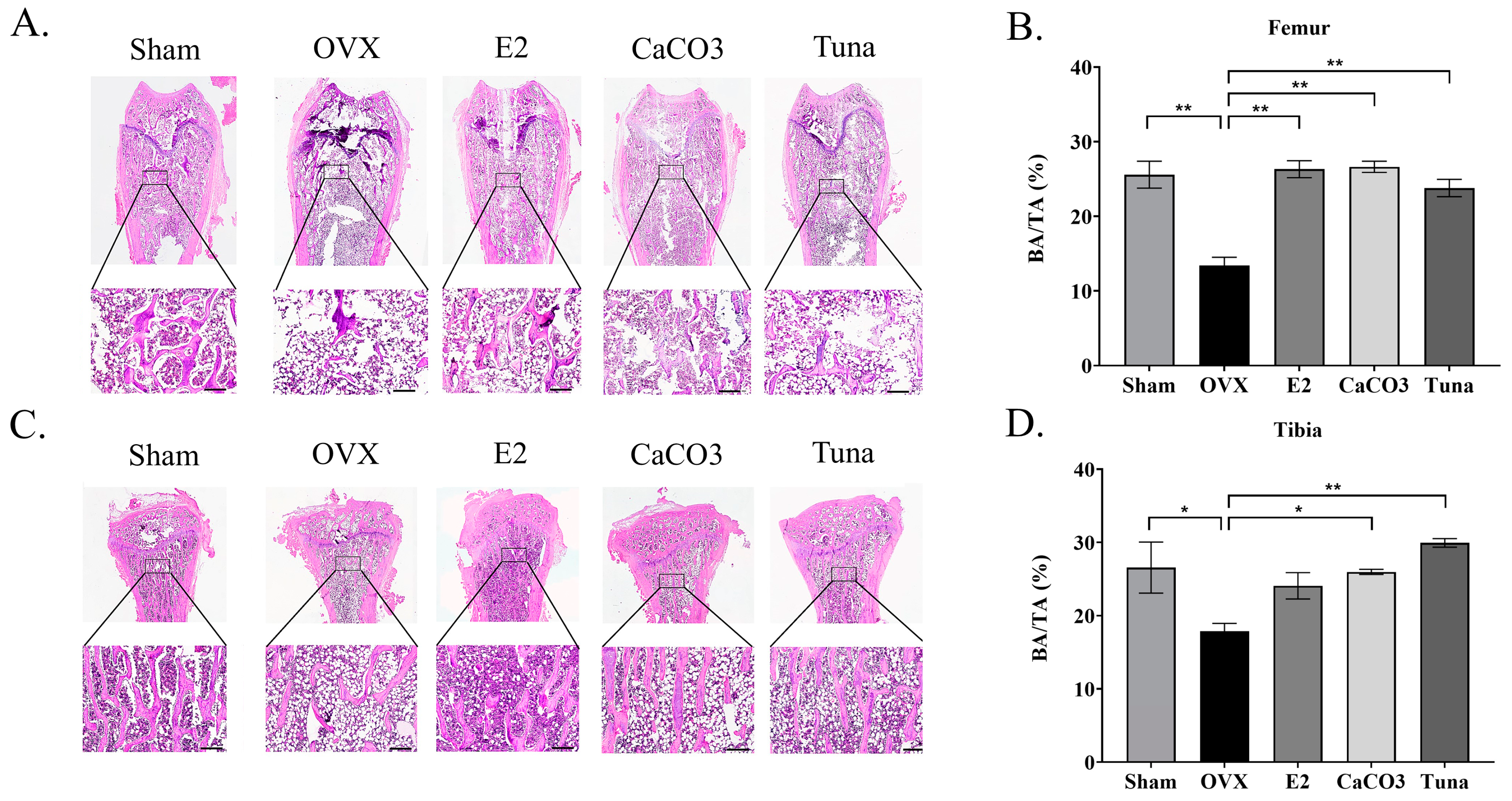 Marinedrugs 22 00472 g003 Marinedrugs 22 00472 g003