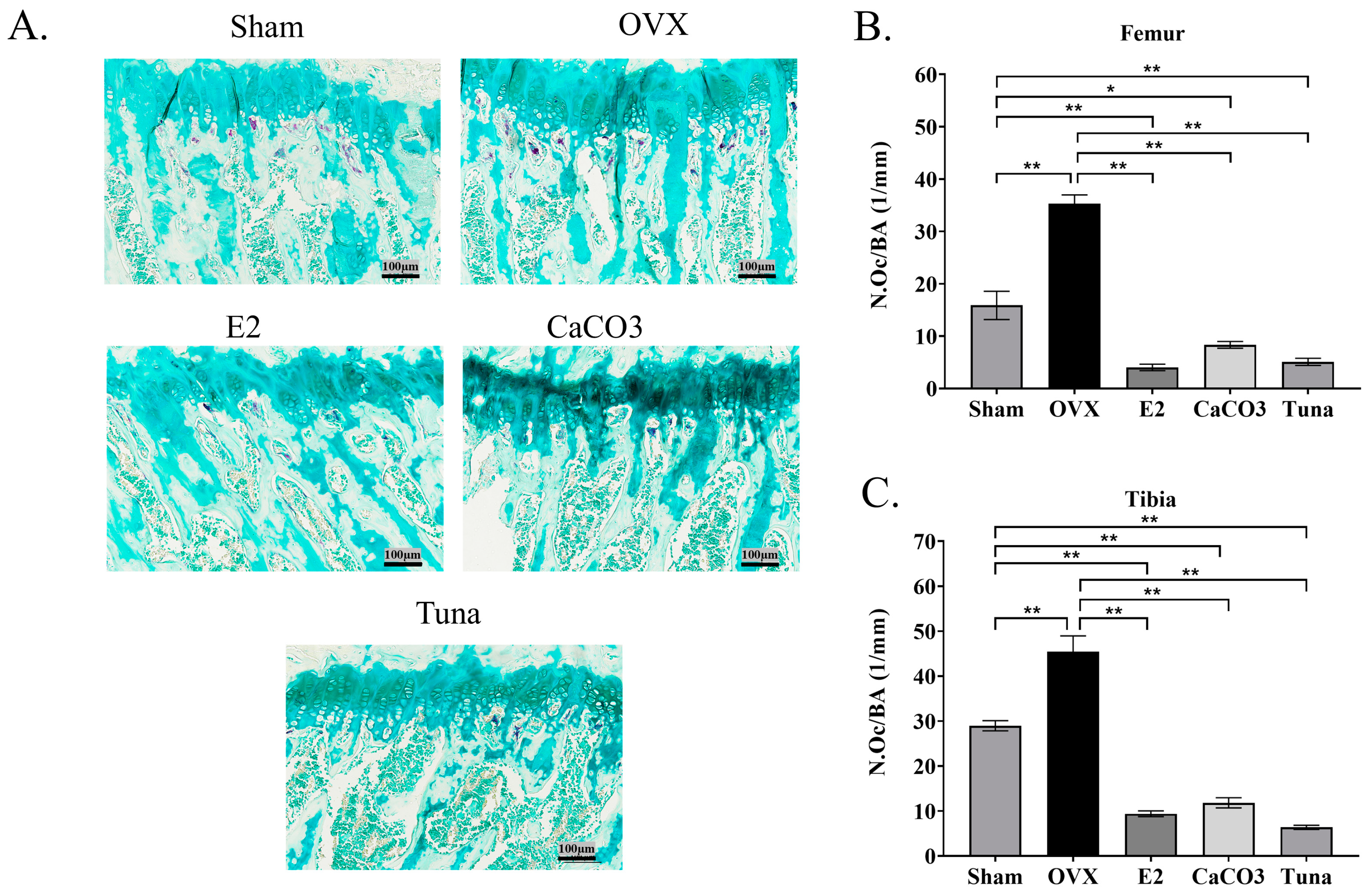Marinedrugs 22 00472 g005 Marinedrugs 22 00472 g005