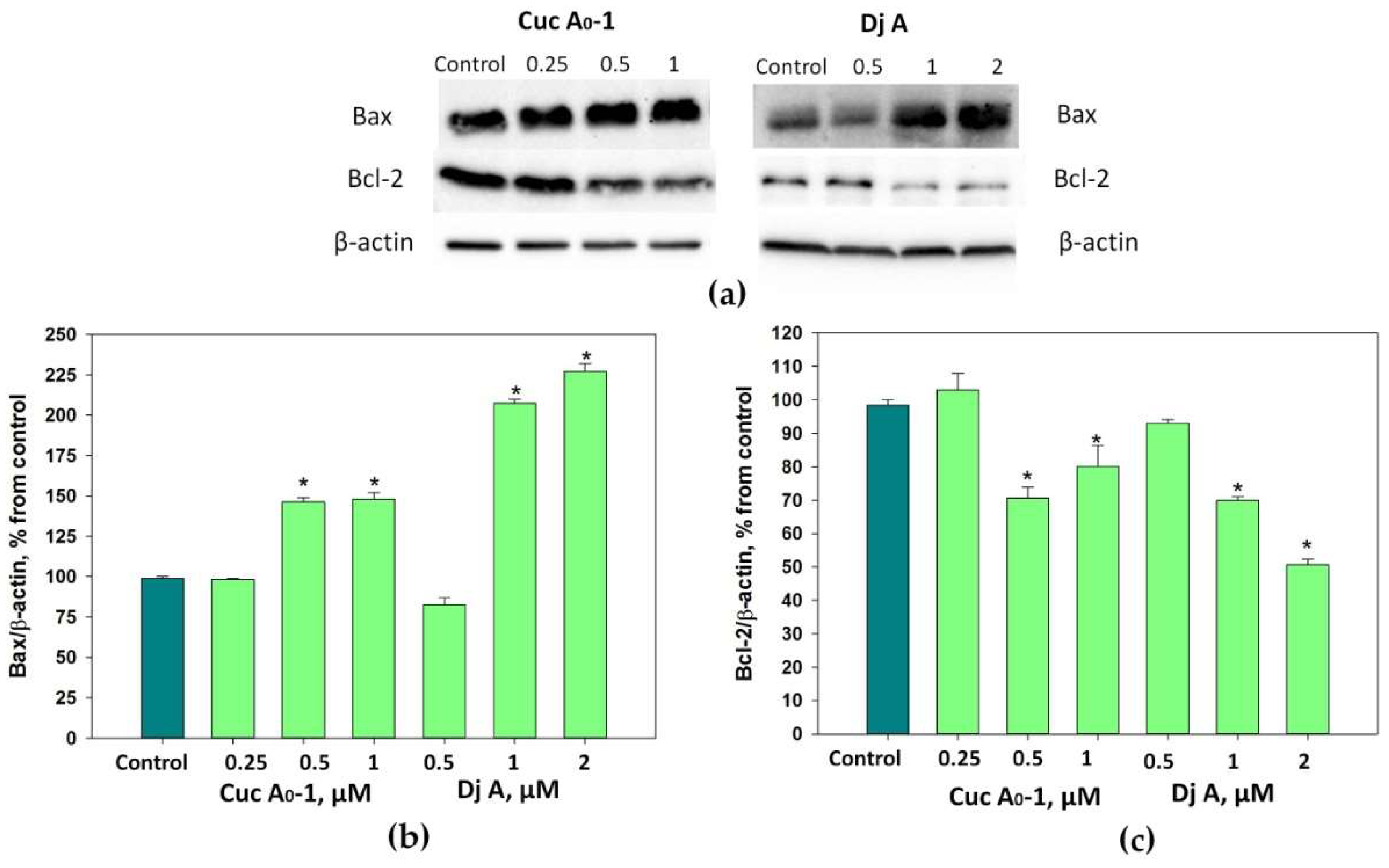 Marinedrugs 22 00474 g006