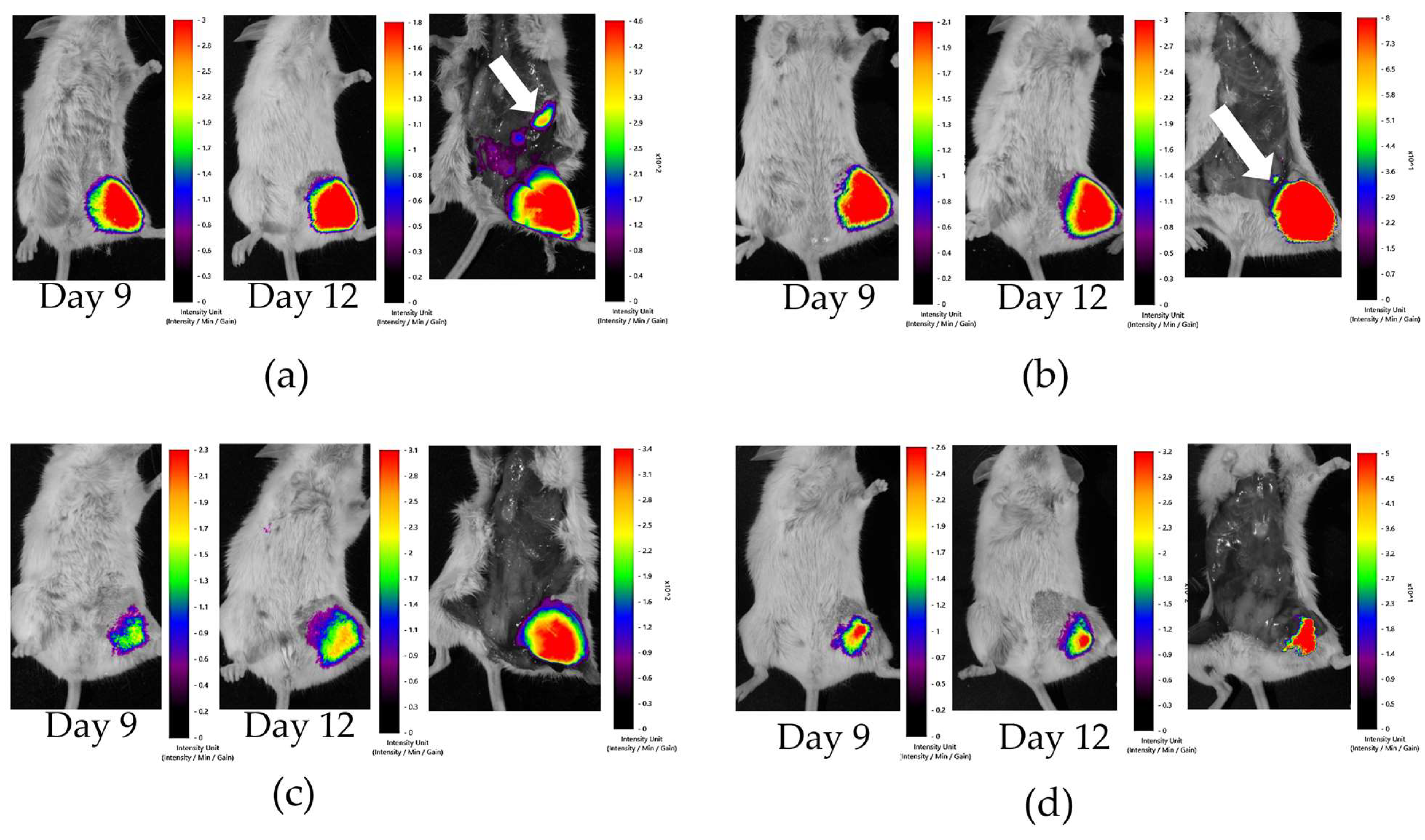 Marinedrugs 22 00474 g011