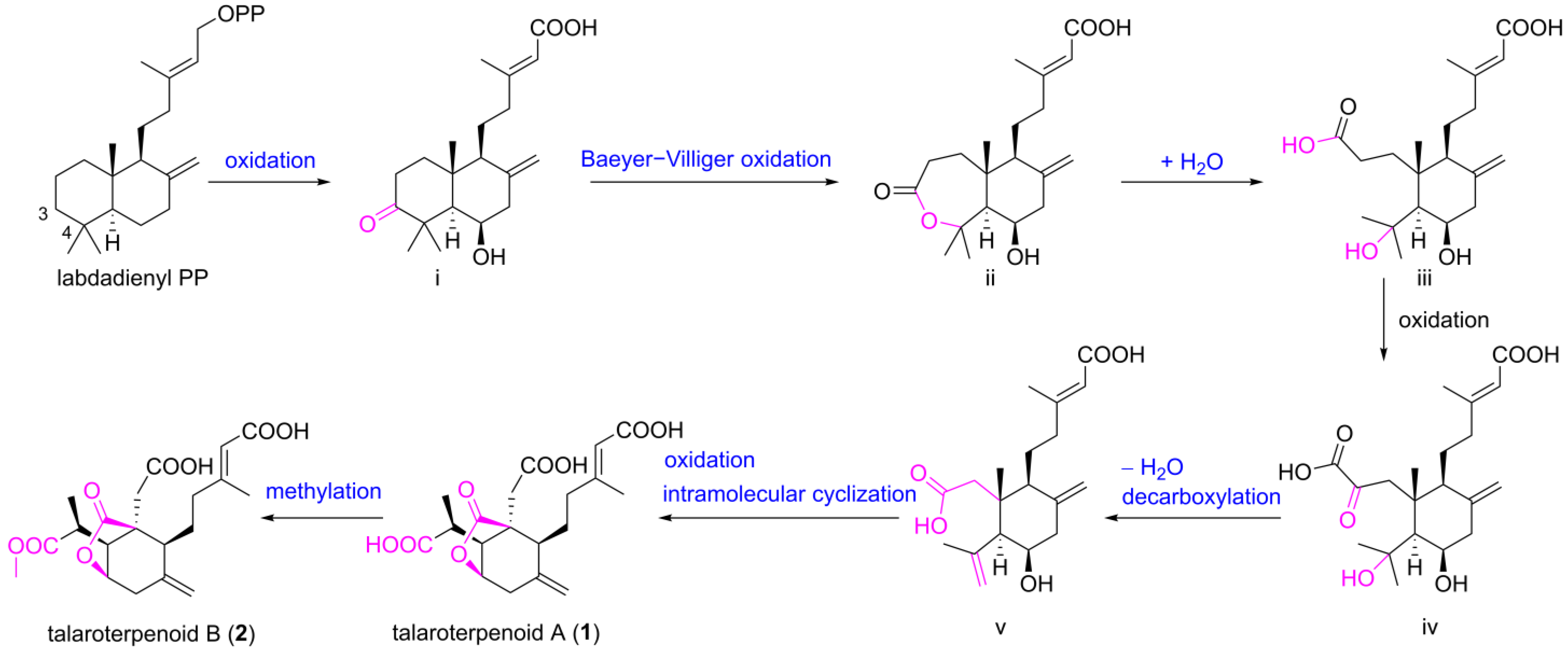 Marinedrugs 22 00475 sch001
