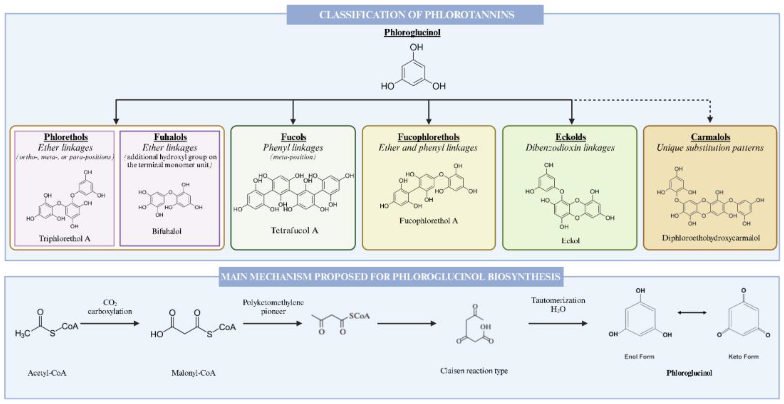 Marinedrugs 22 00478 g001